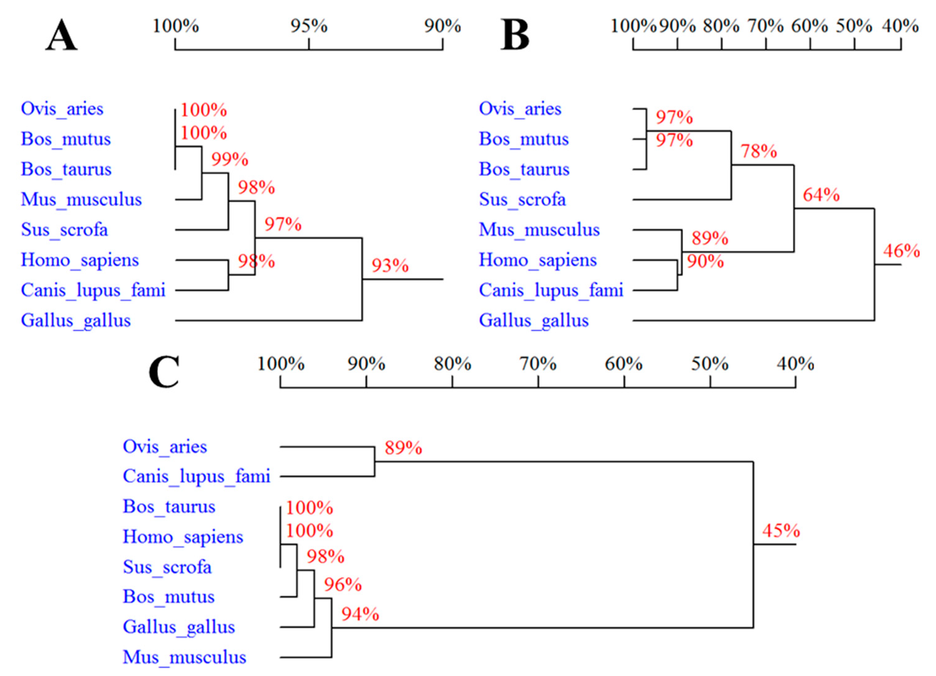Genes 10 00616 g001