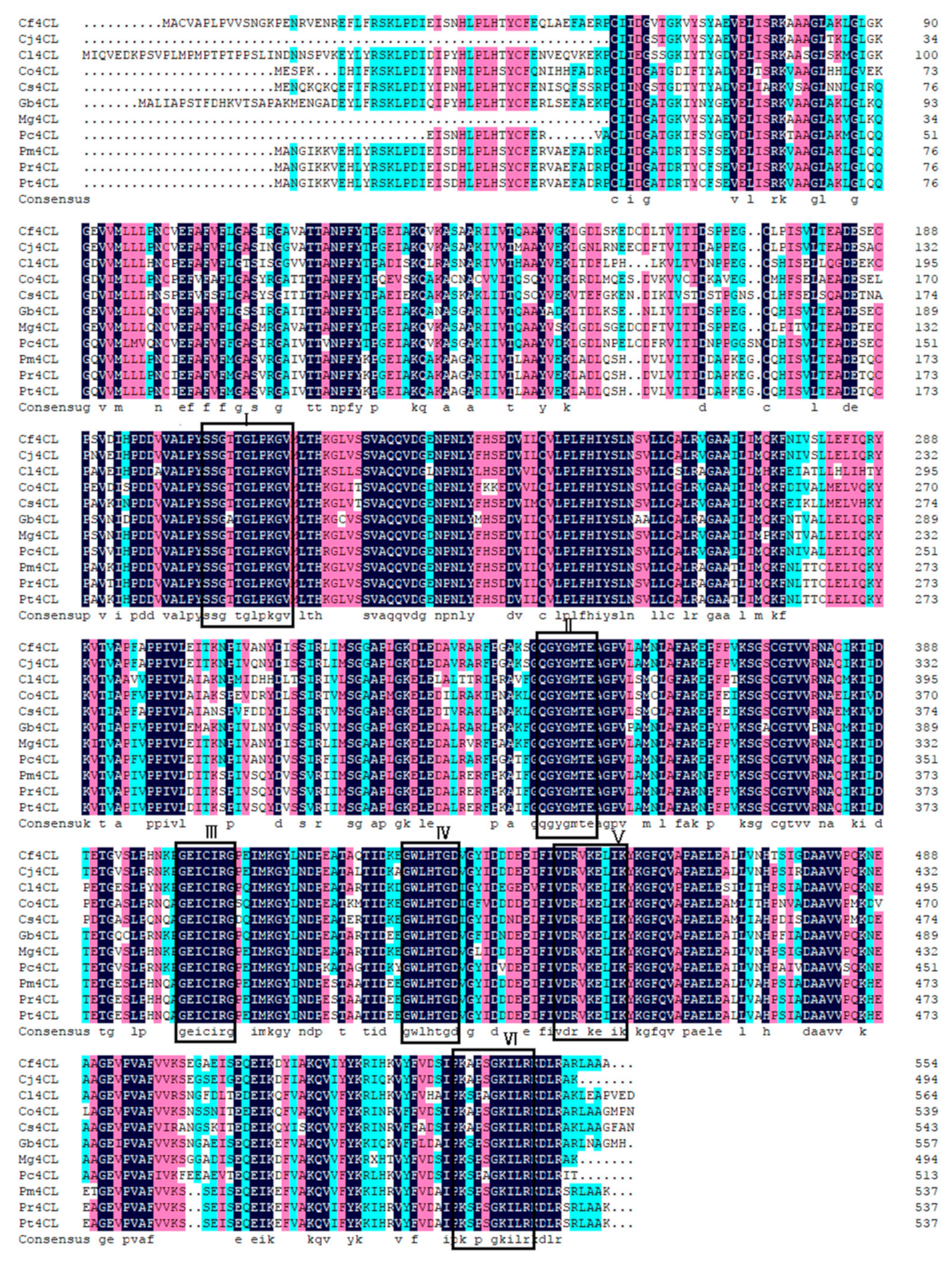 Genes 10 00619 g002