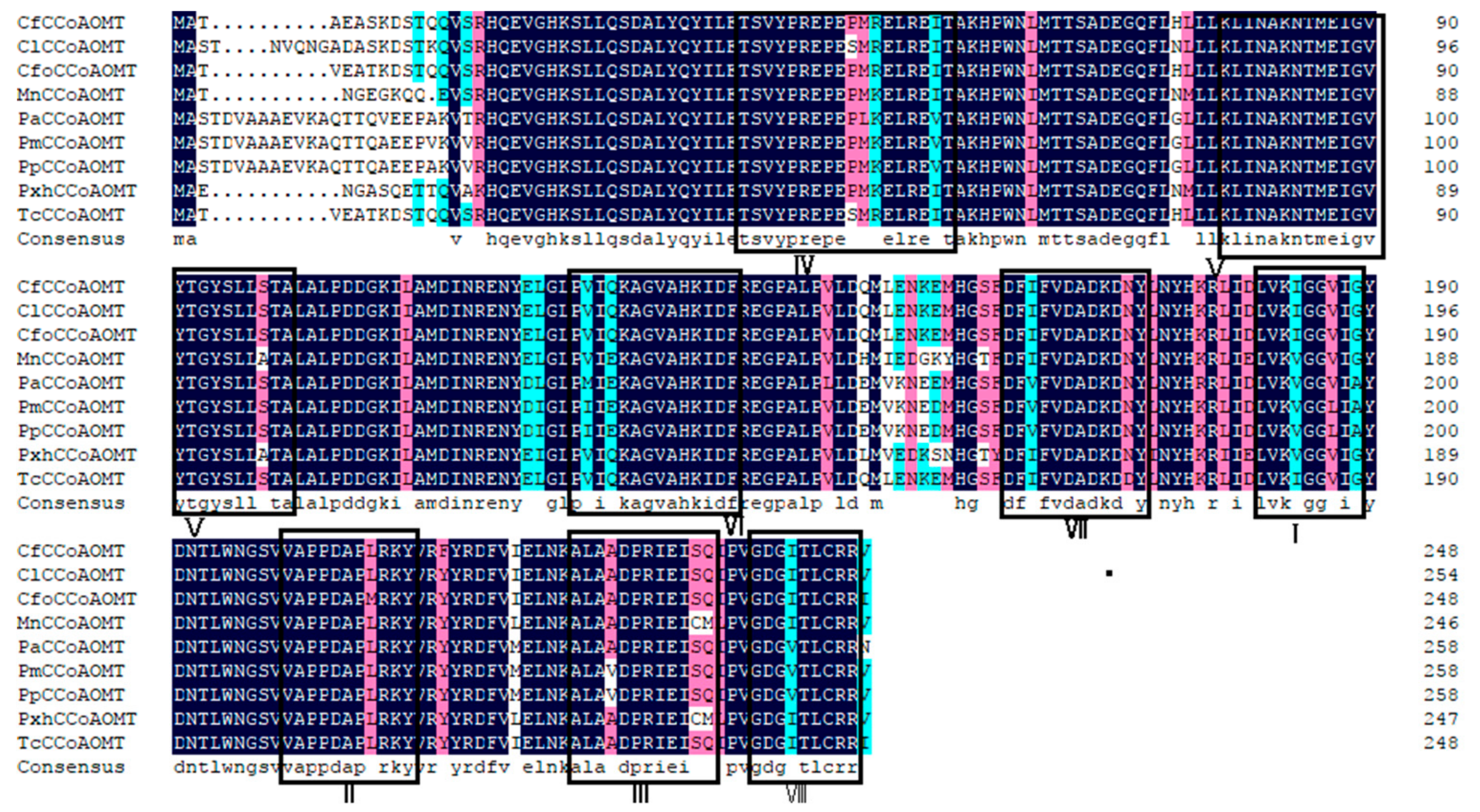Genes 10 00619 g003
