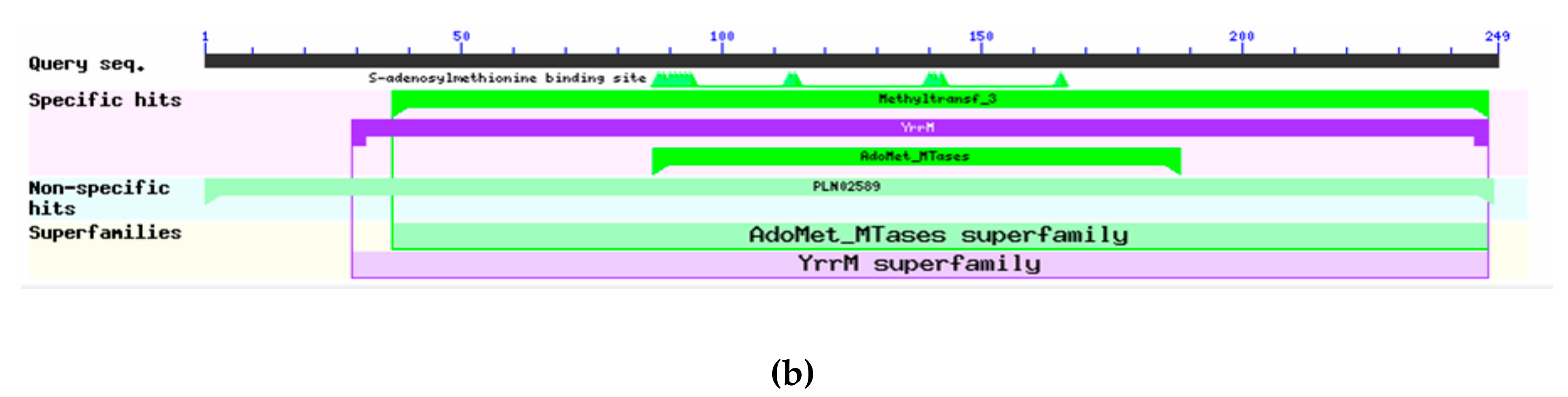 Genes 10 00619 g005b