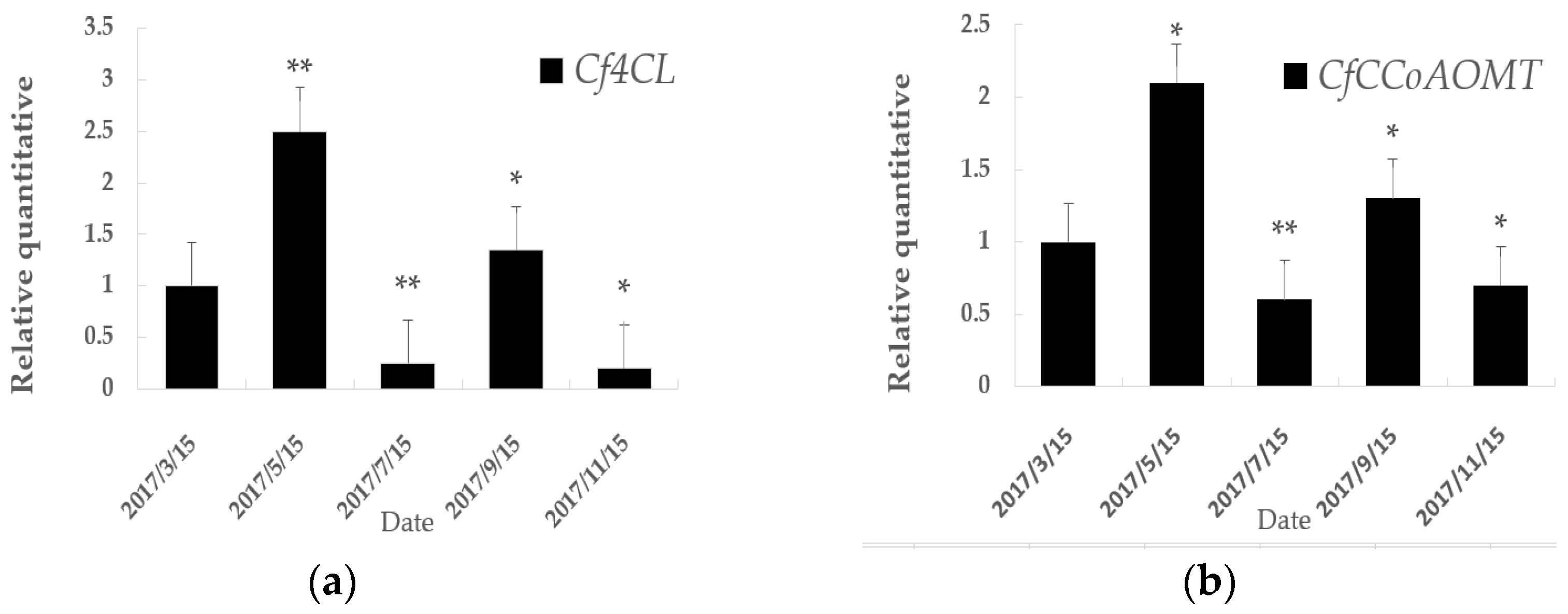 Genes 10 00619 g007
