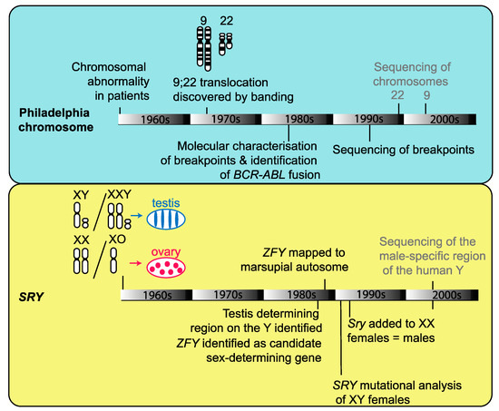 framework protein scaffold framework protein scaffold