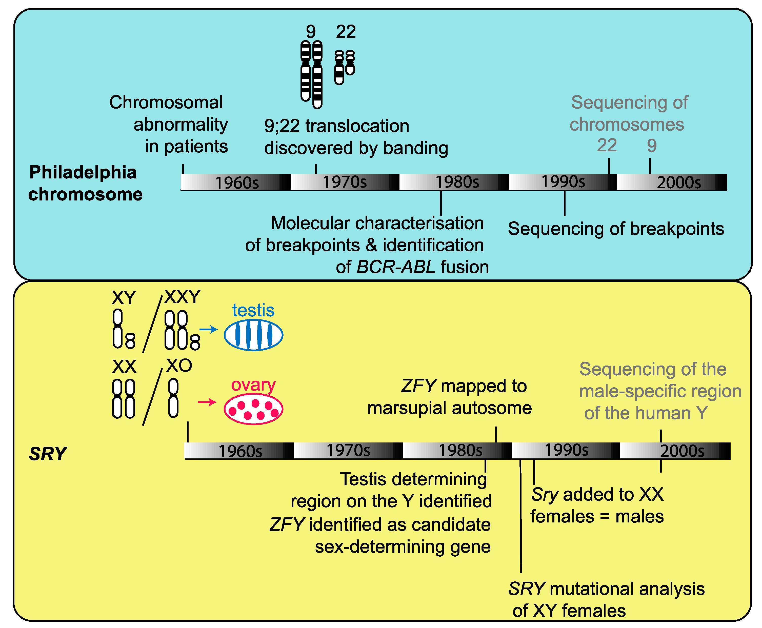Genes 10 00627 g002 Genes 10 00627 g002