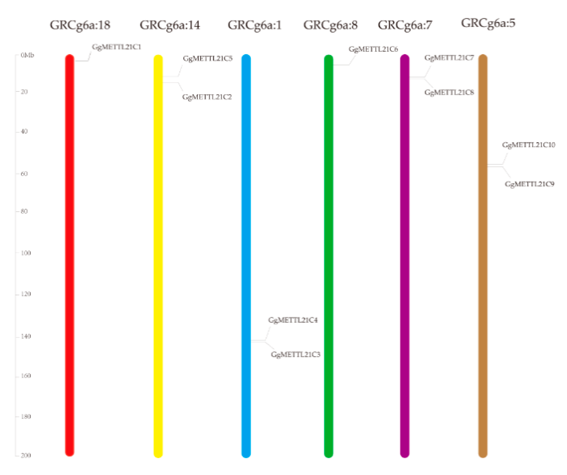 Genes 10 00628 g002 Genes 10 00628 g002