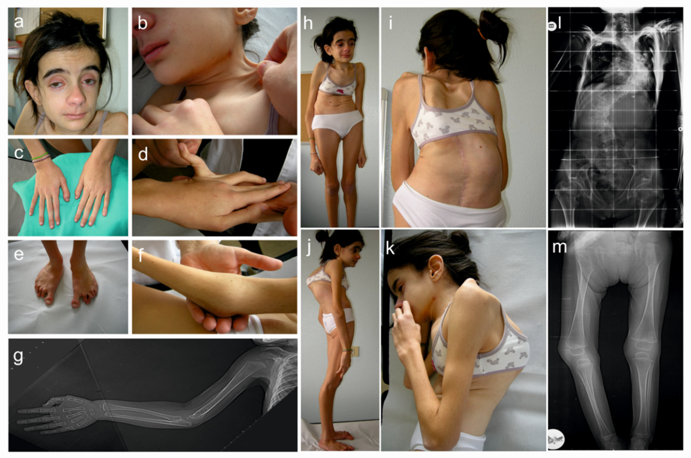 Genes 10 00631 g002 Genes 10 00631 g002