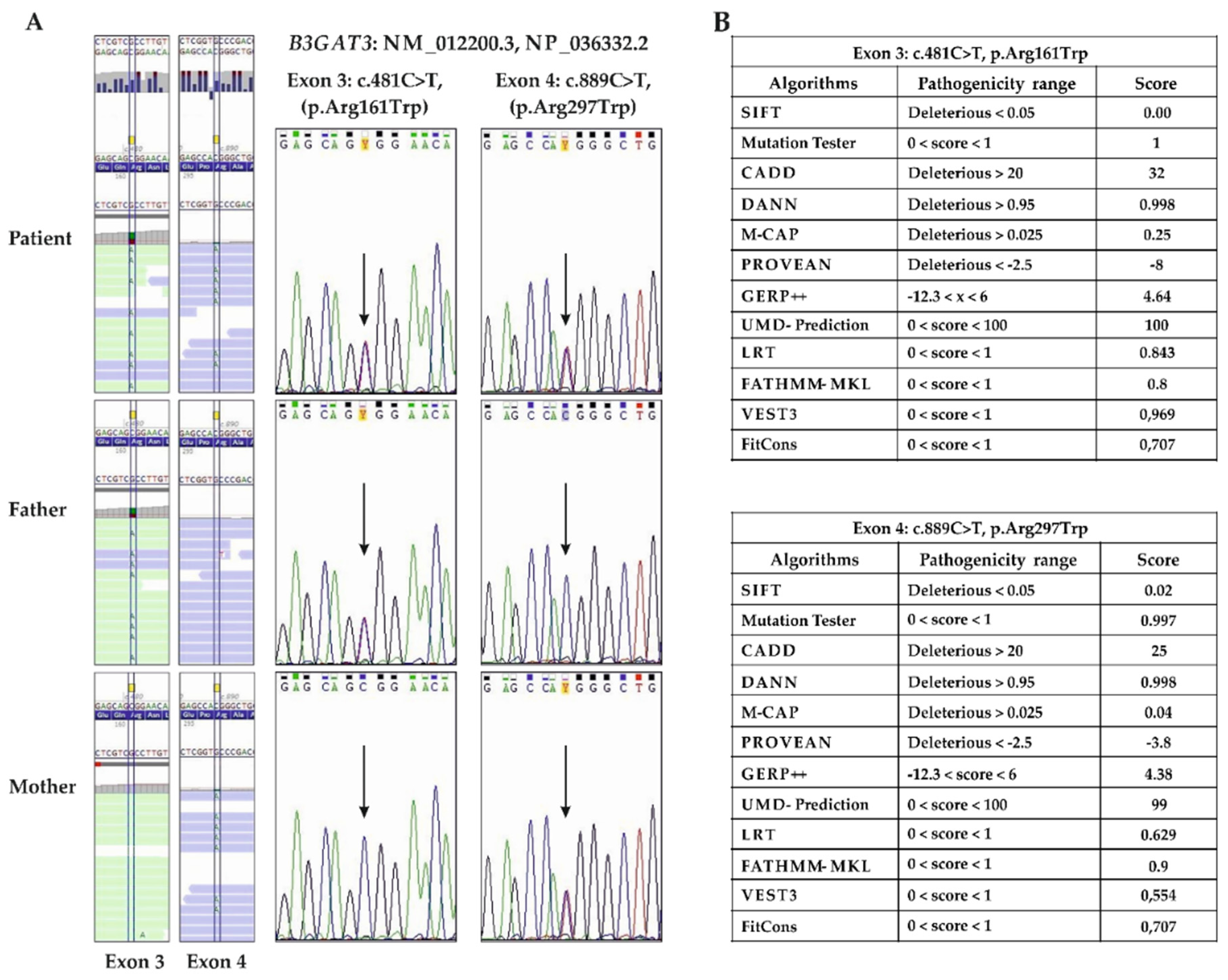 Genes 10 00631 g003 Genes 10 00631 g003