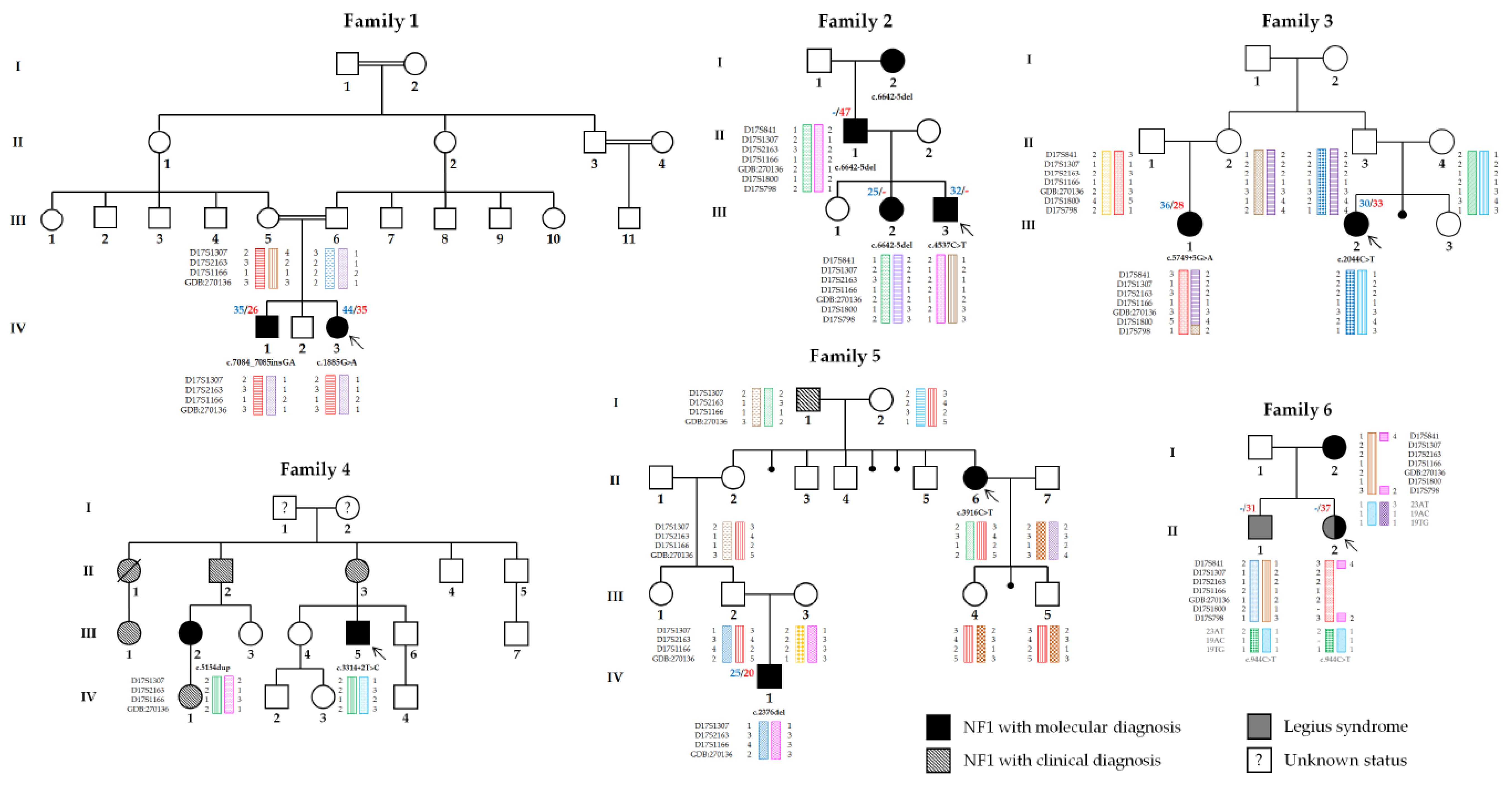 Genes 10 00633 g001 Genes 10 00633 g001
