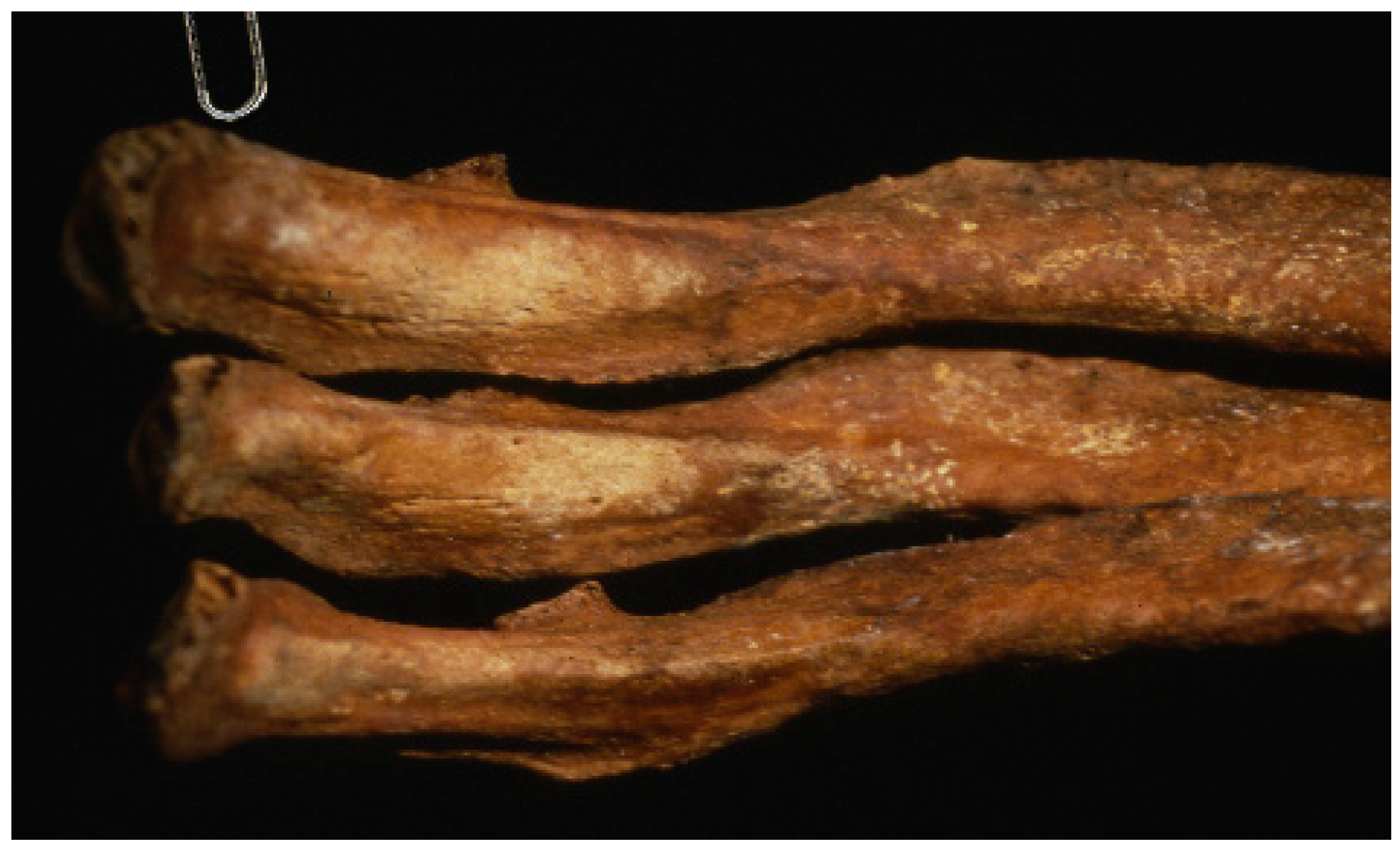 Genes 10 00636 g002