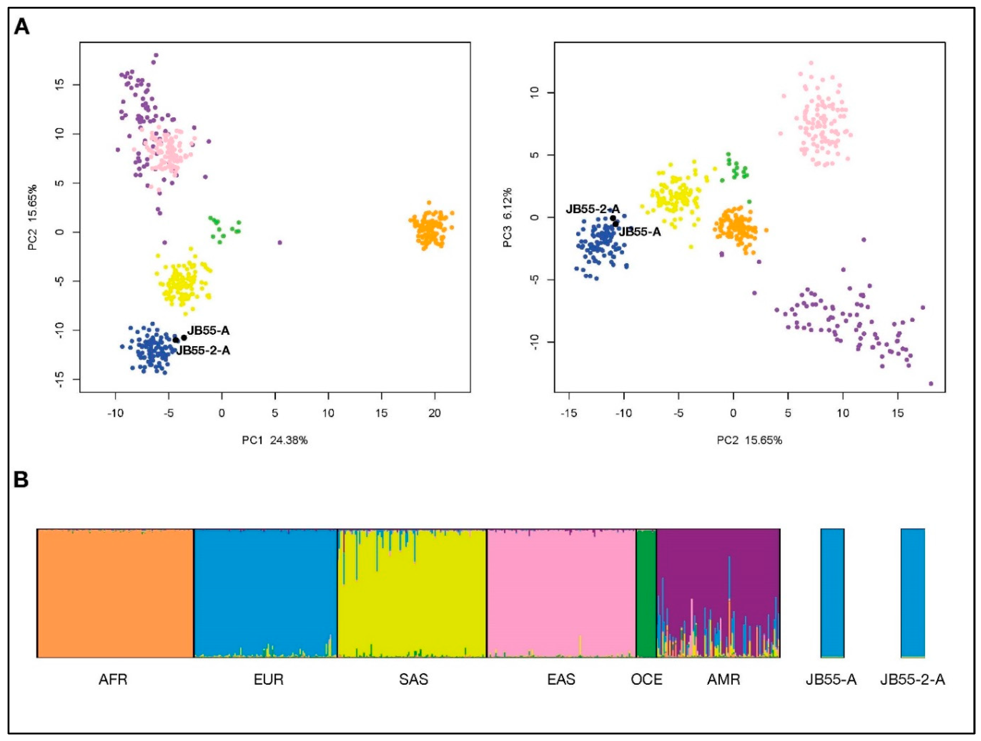 Genes 10 00636 g003