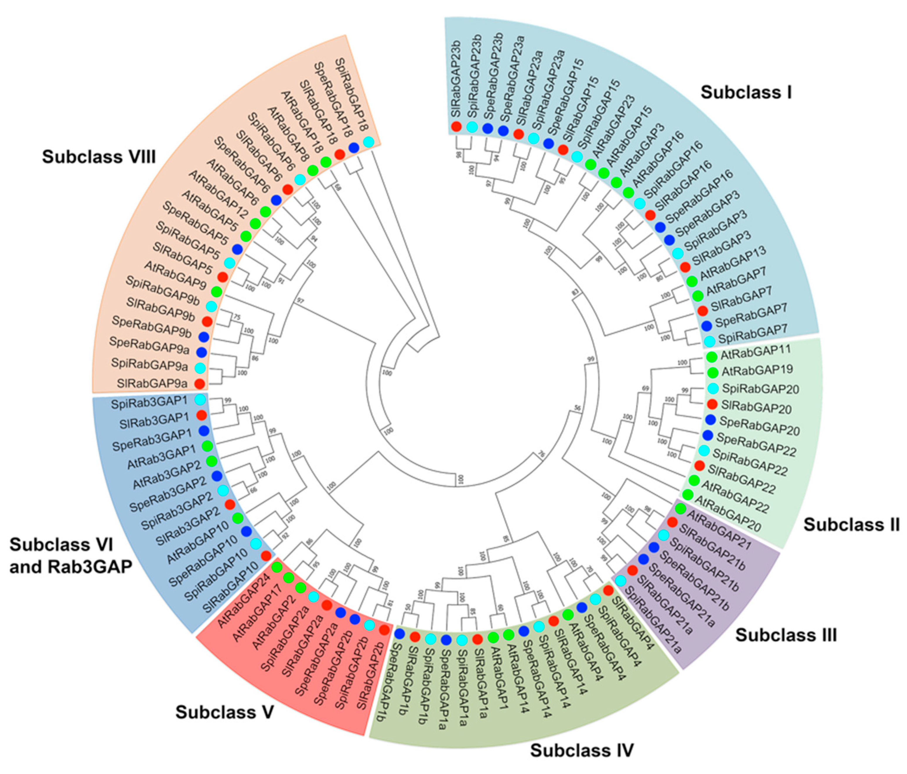 Genes 10 00638 g001 Genes 10 00638 g001
