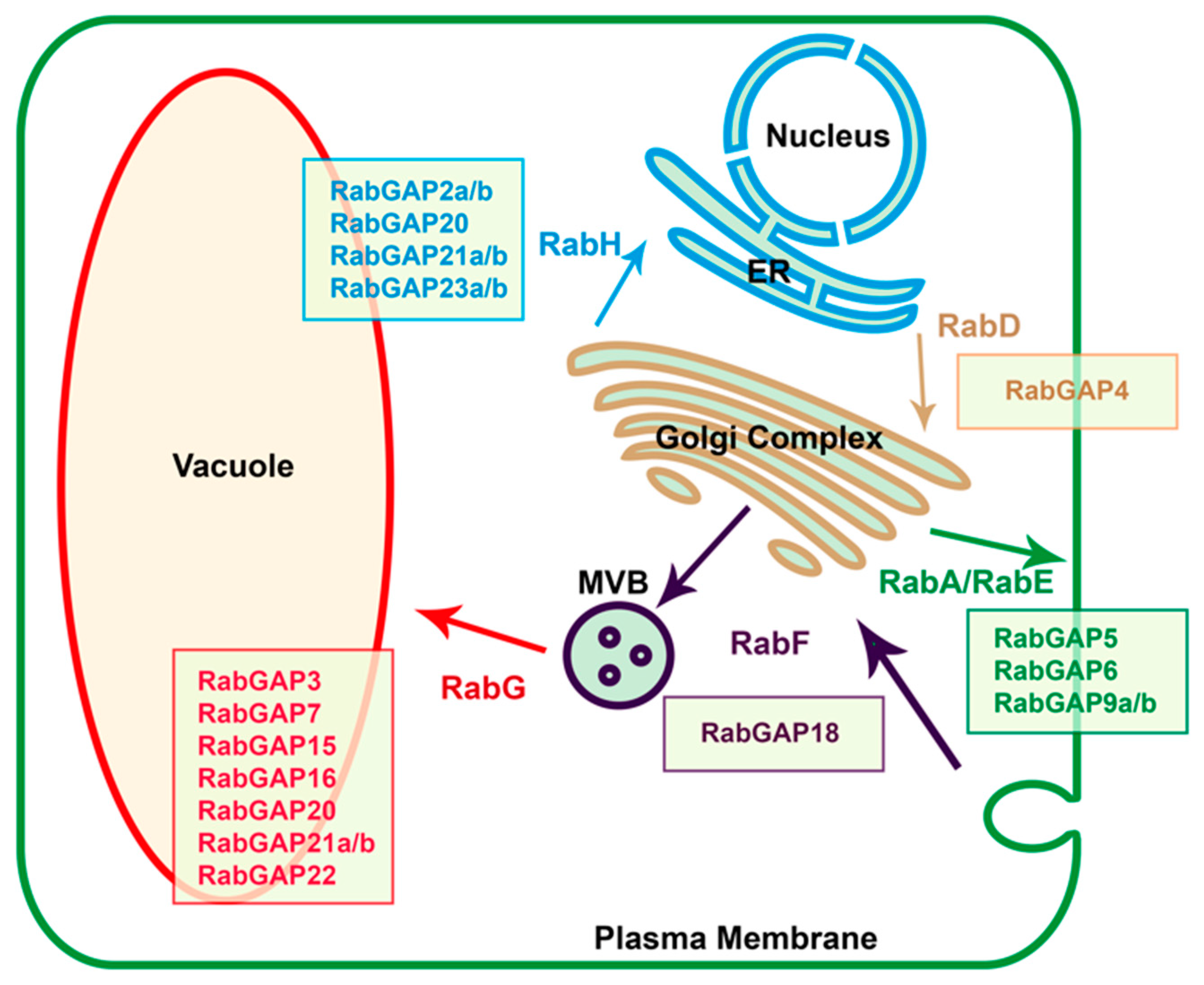 Genes 10 00638 g004 Genes 10 00638 g004