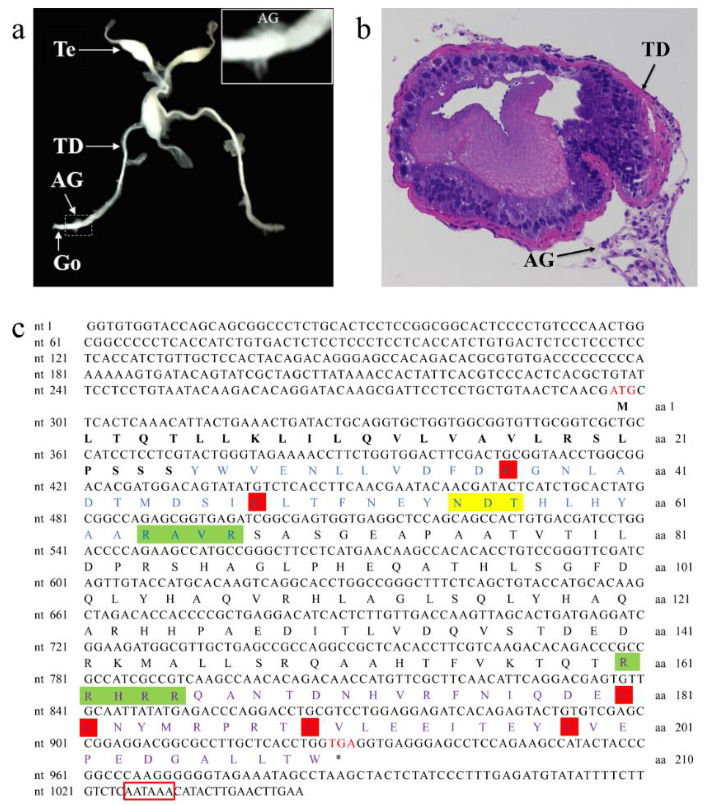 Genes 10 00645 g001