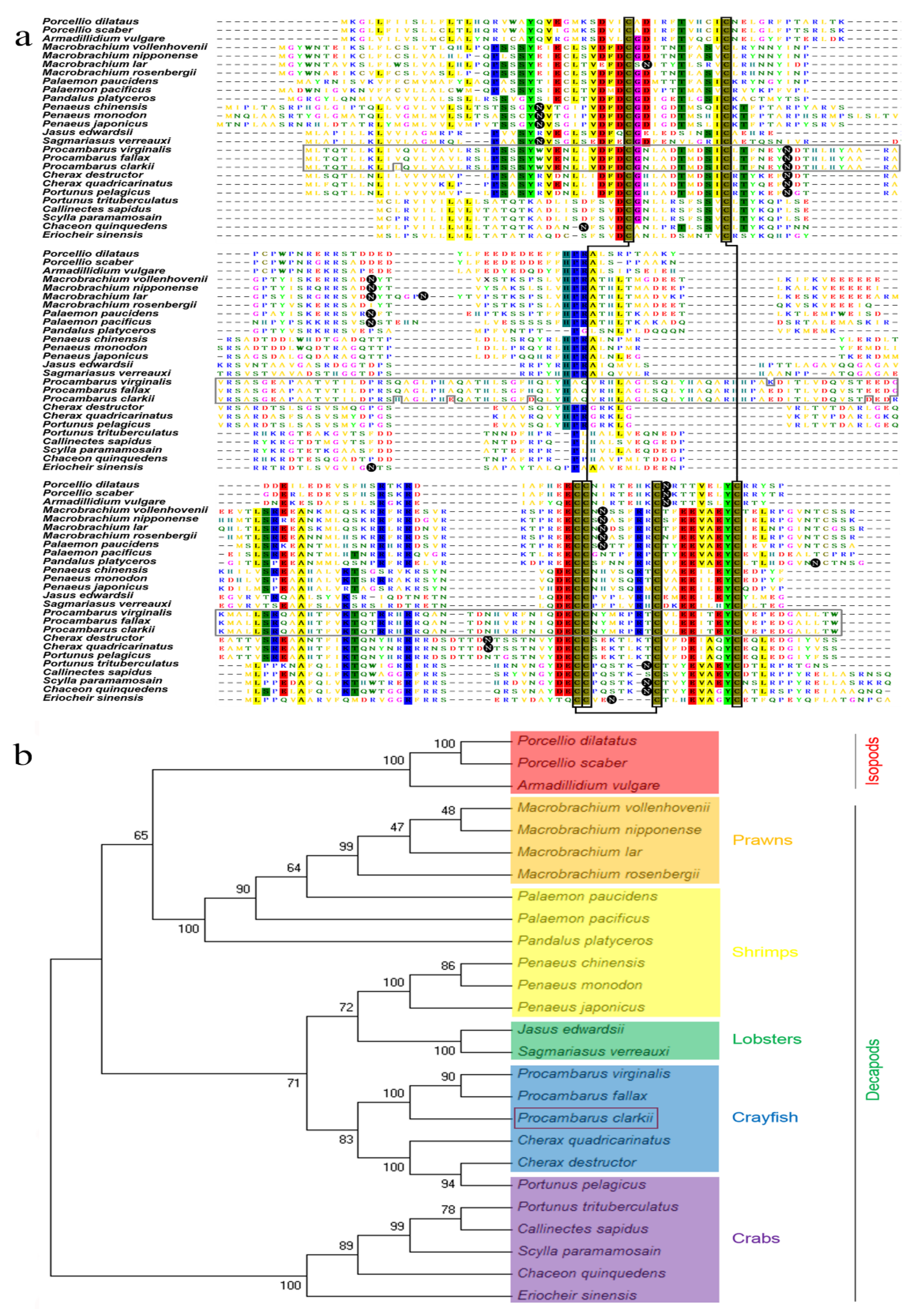 Genes 10 00645 g002