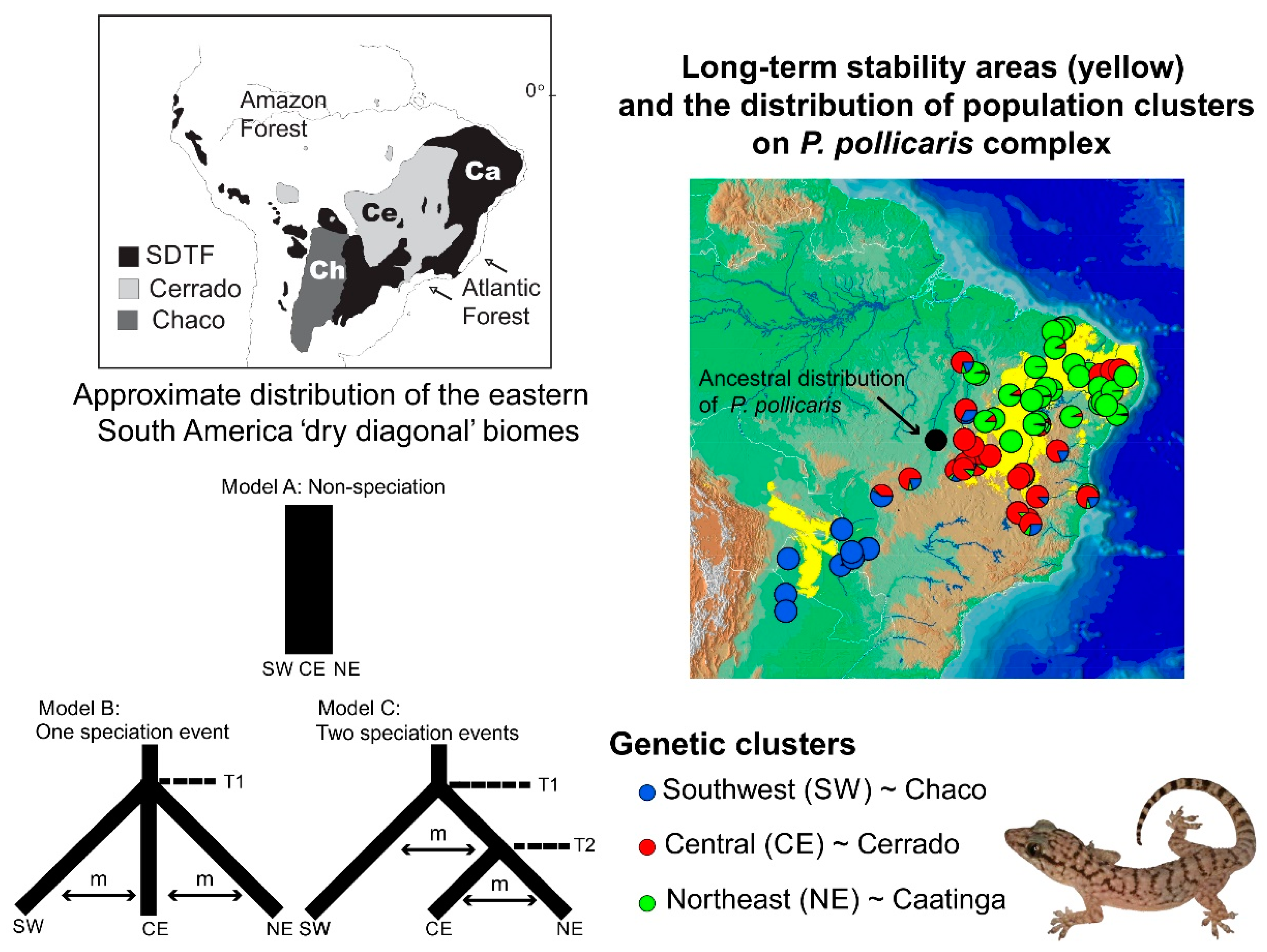 Genes Pond Depth Chart