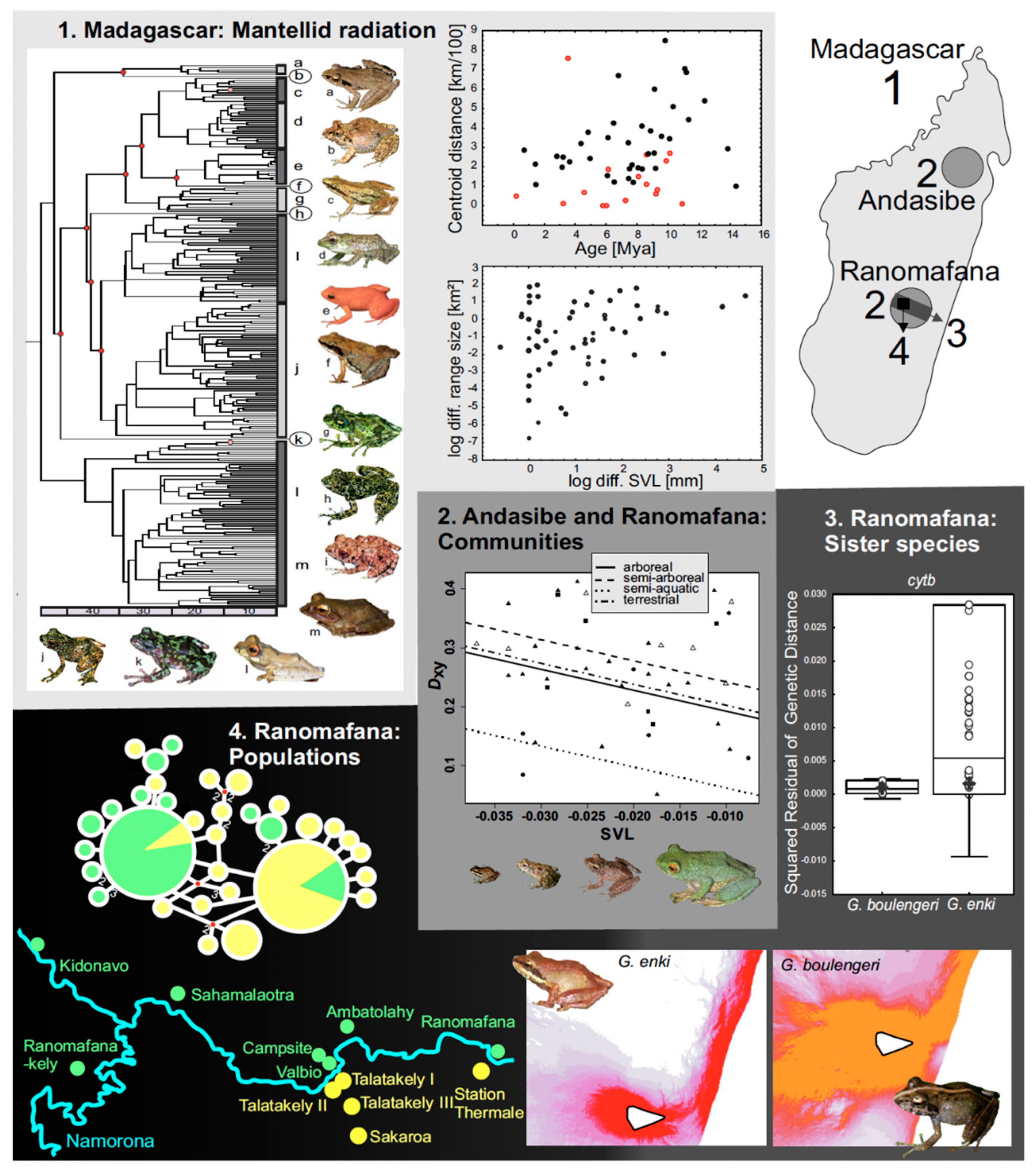 Genes Pond Depth Chart