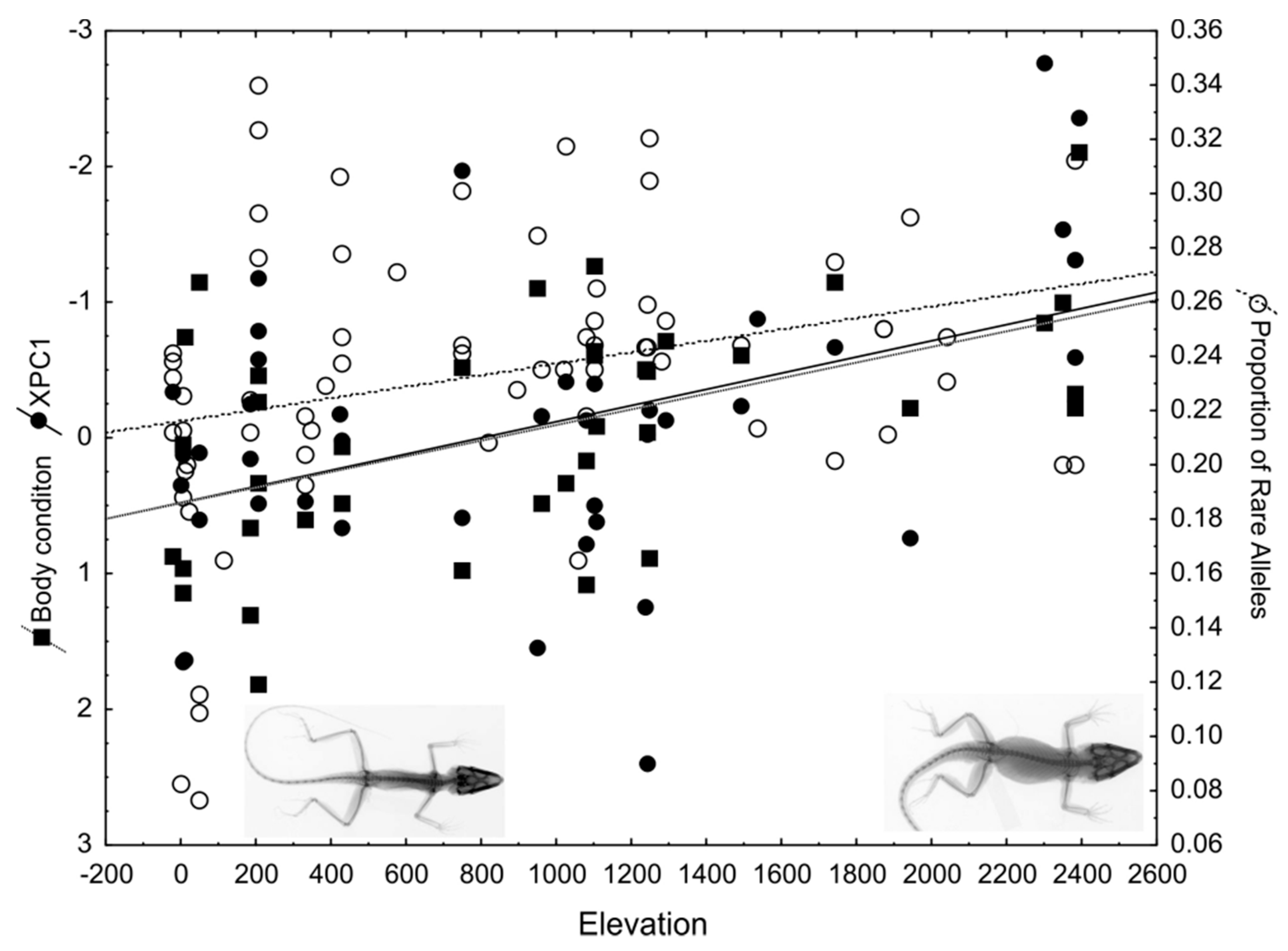 Genes Pond Depth Chart