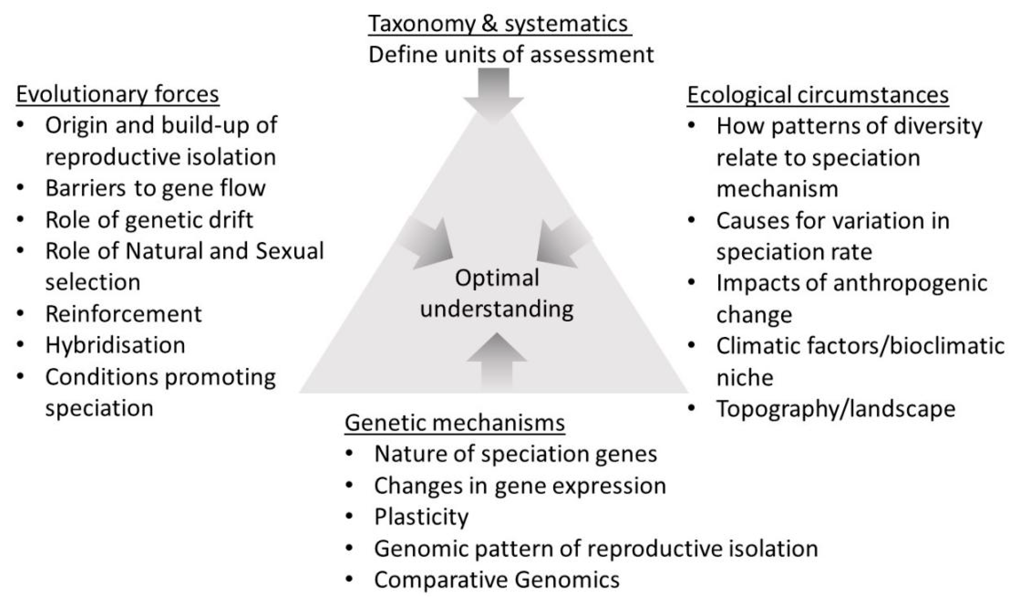 Genes Pond Depth Chart