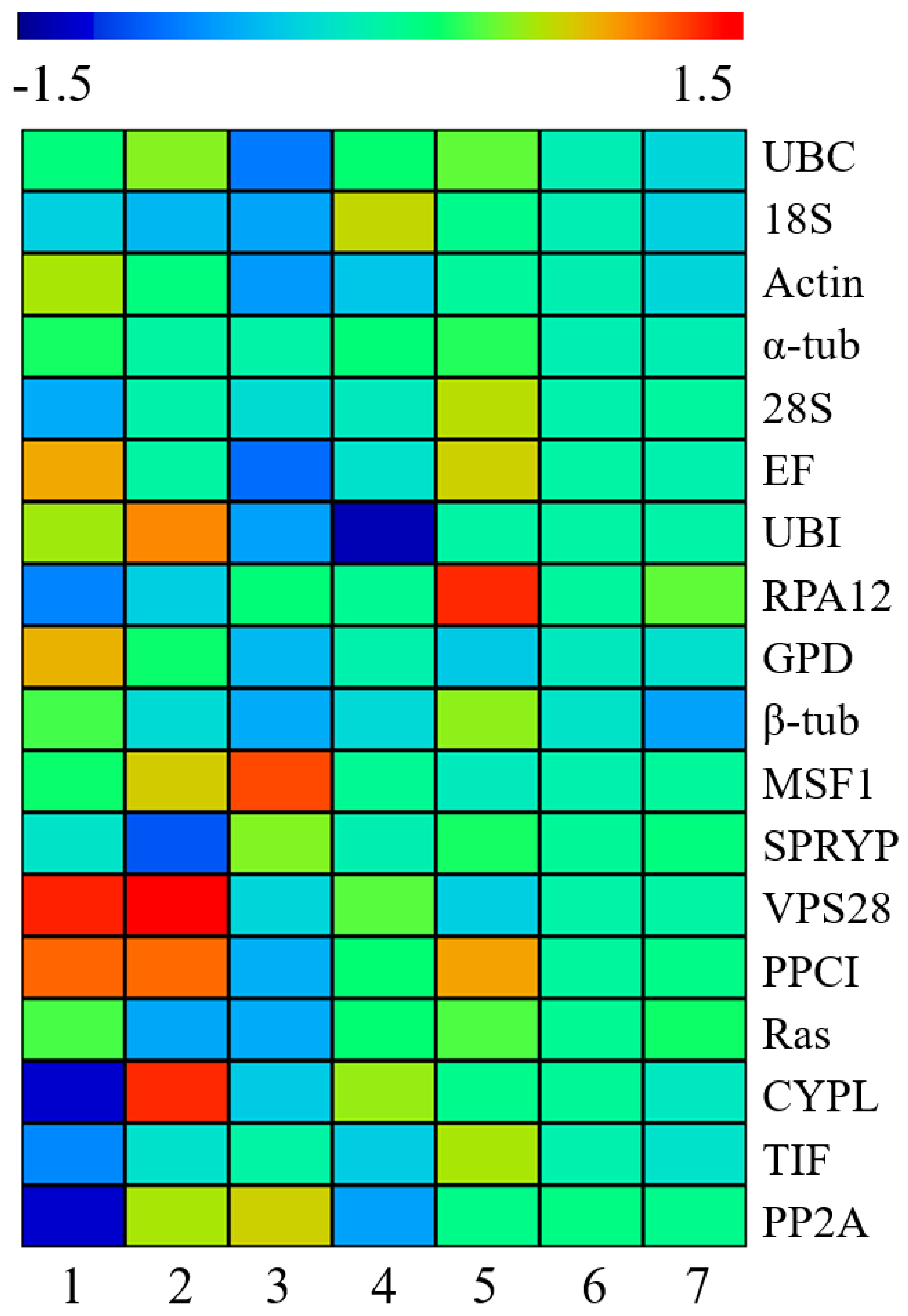 Genes 10 00647 g004 Genes 10 00647 g004