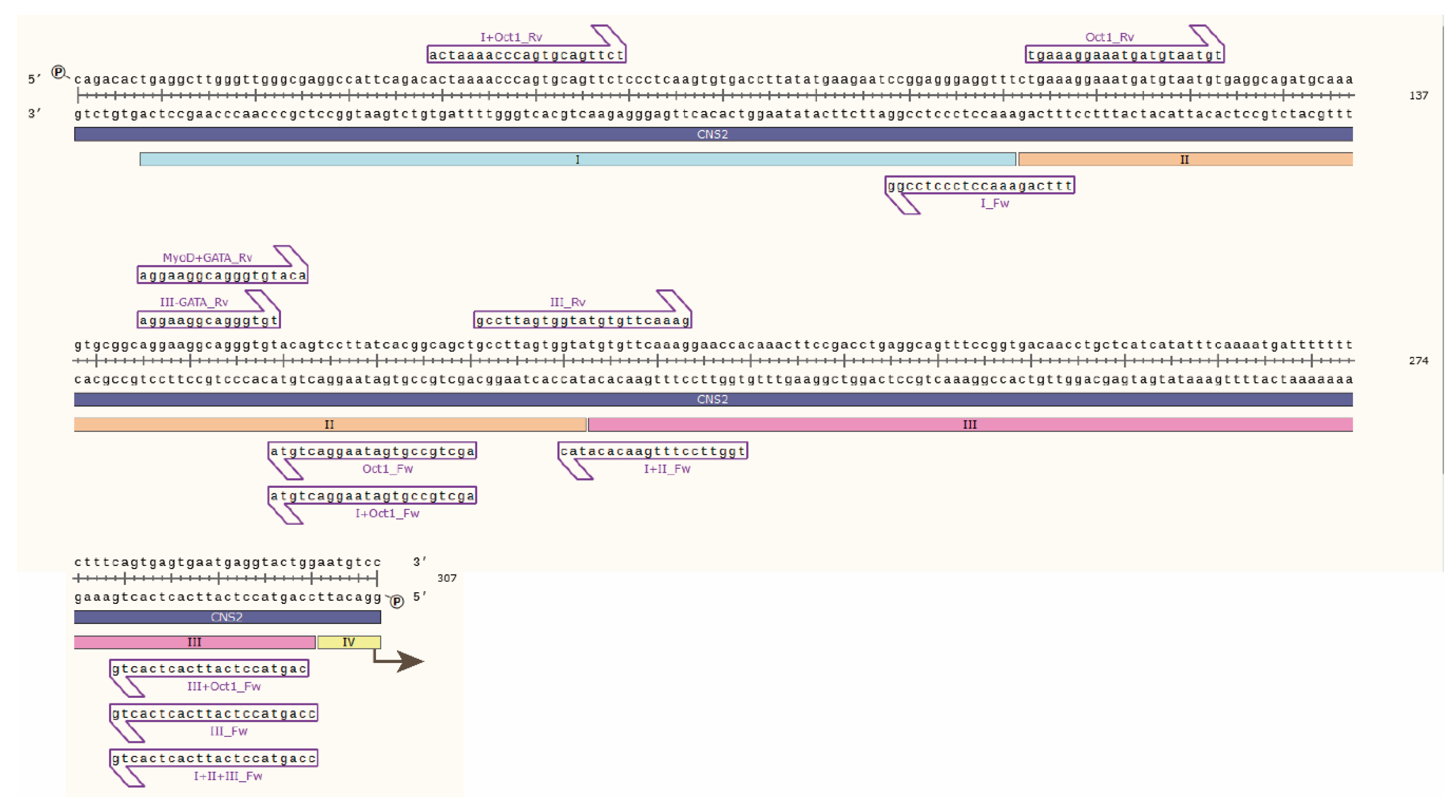 Genes 10 00651 g001 Genes 10 00651 g001