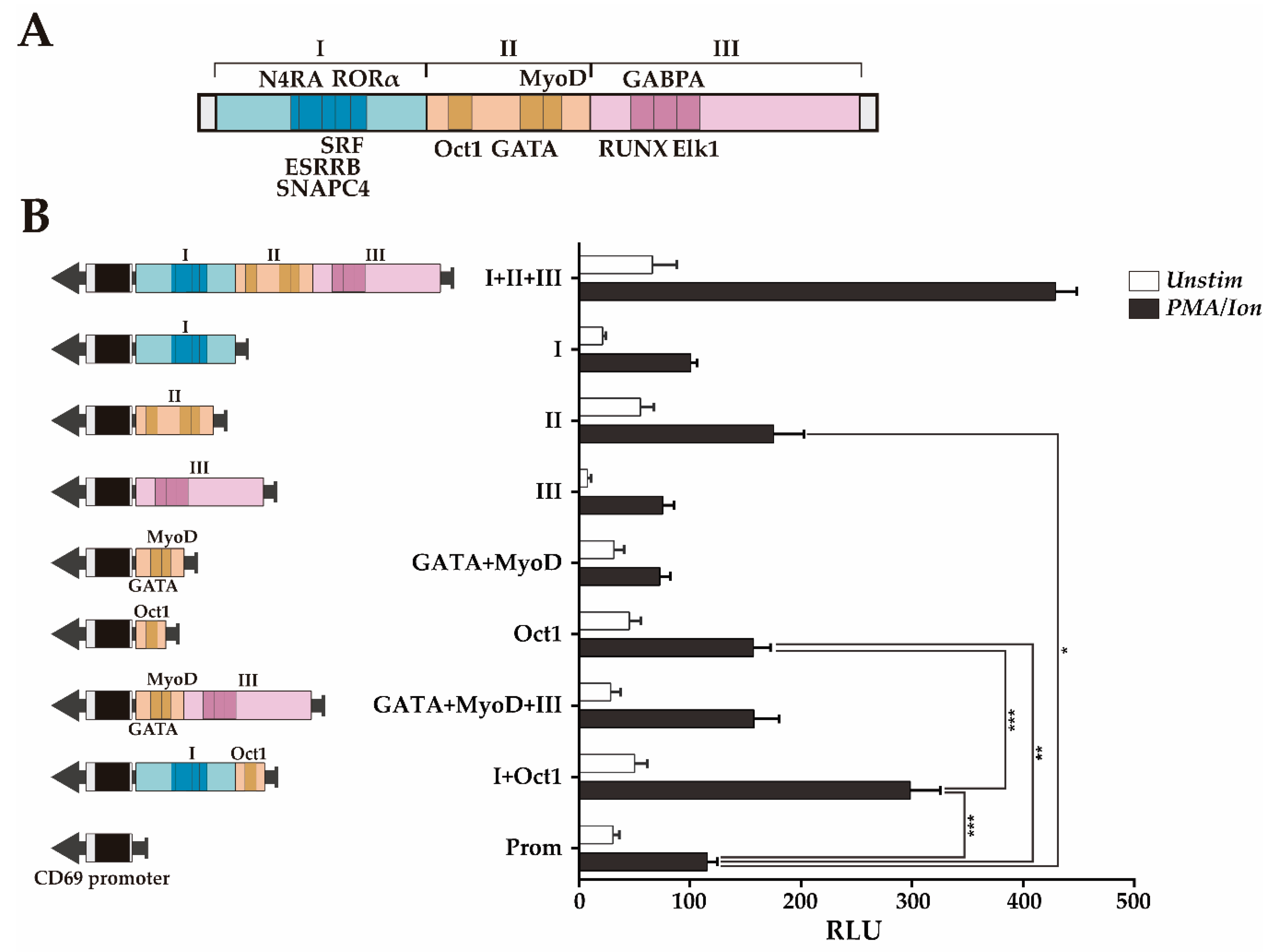Genes 10 00651 g004 Genes 10 00651 g004