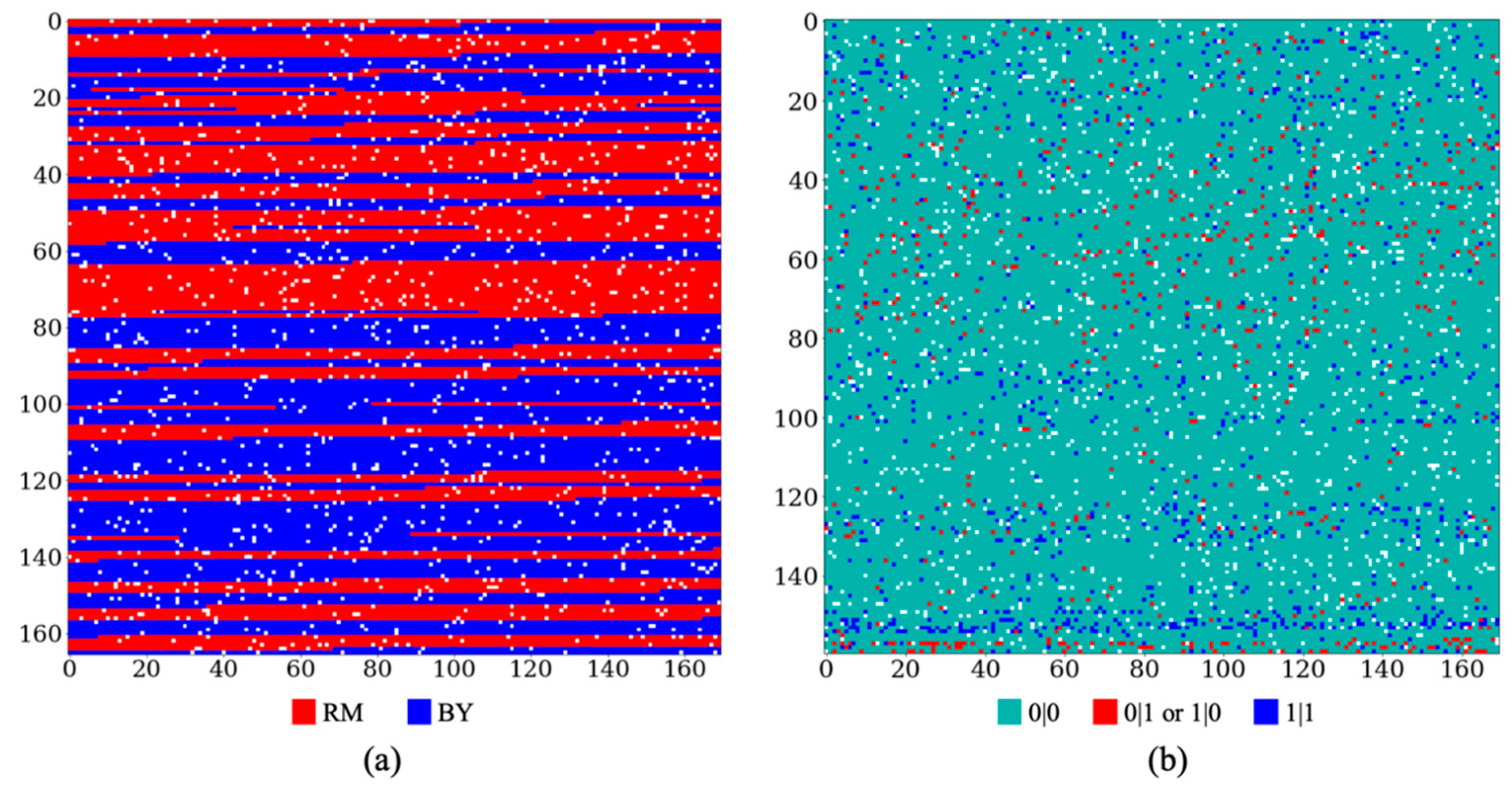Sparse Convolutional Denoising Autoencoders for Genotype Imputation