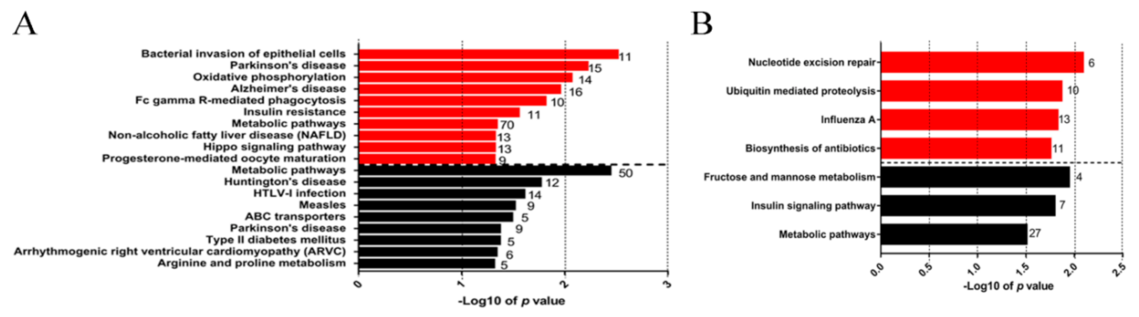 Genes 10 00656 g004