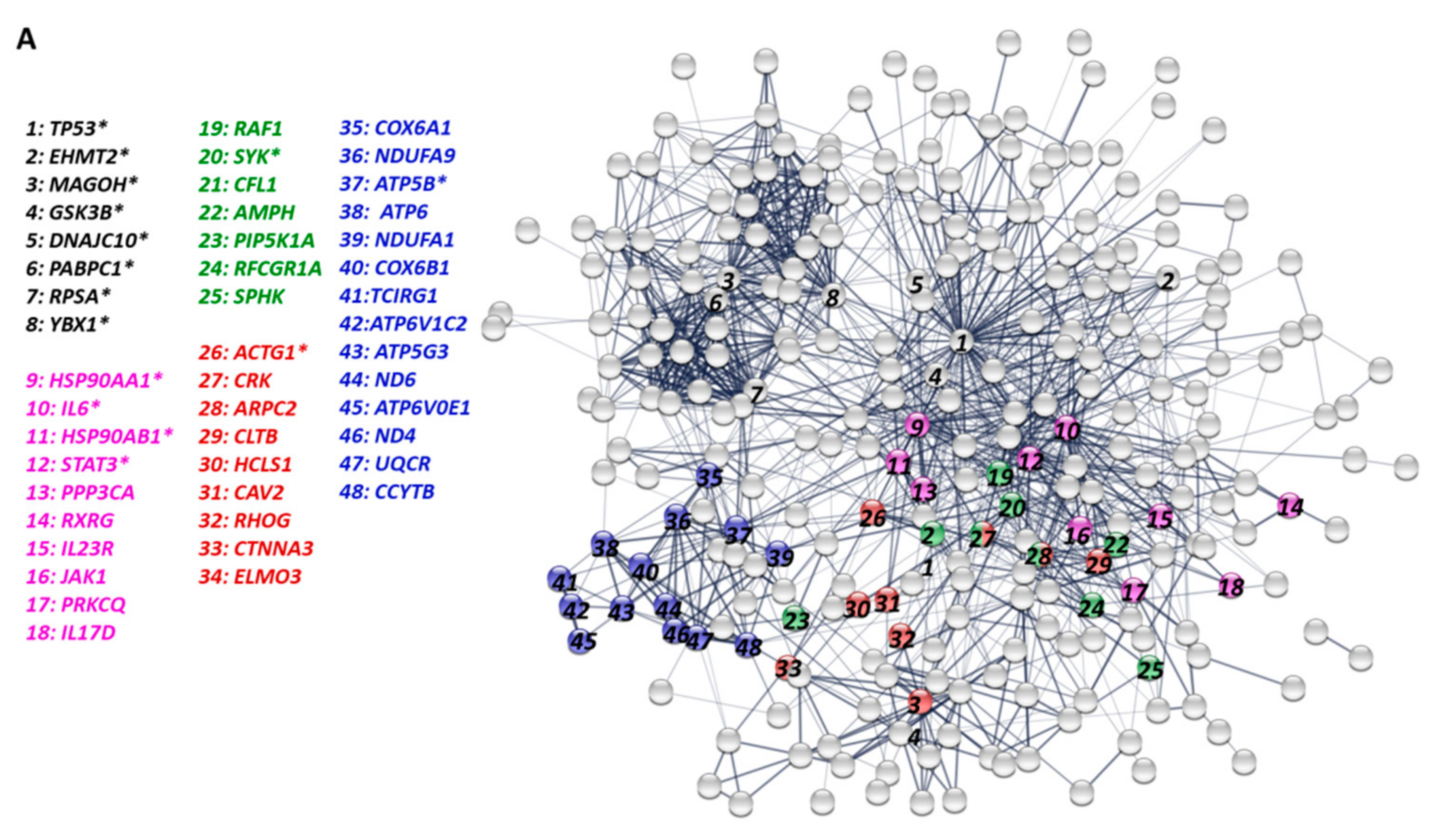 Genes 10 00656 g005a
