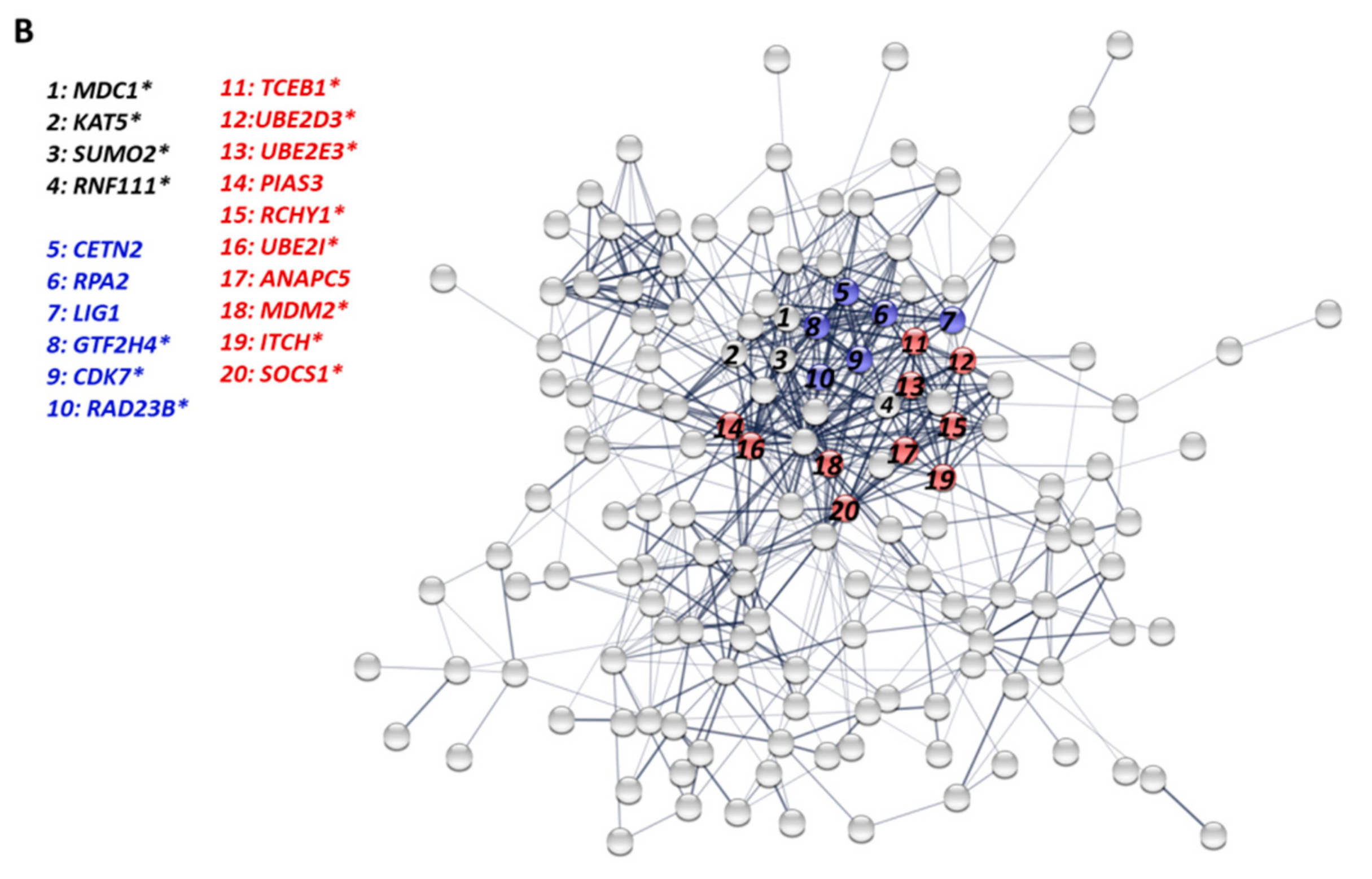 Genes 10 00656 g005b