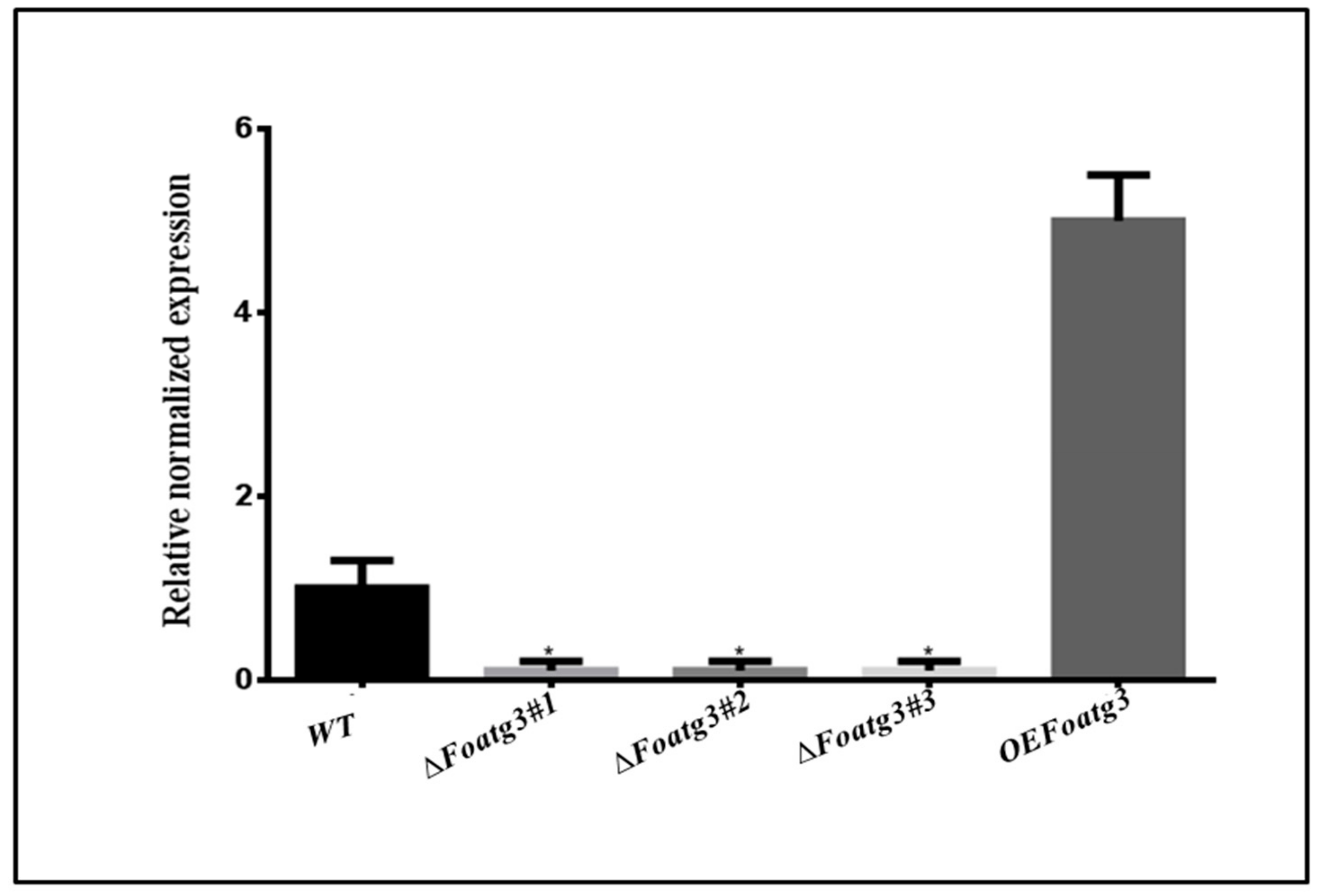 Genes 10 00658 g001 Genes 10 00658 g001