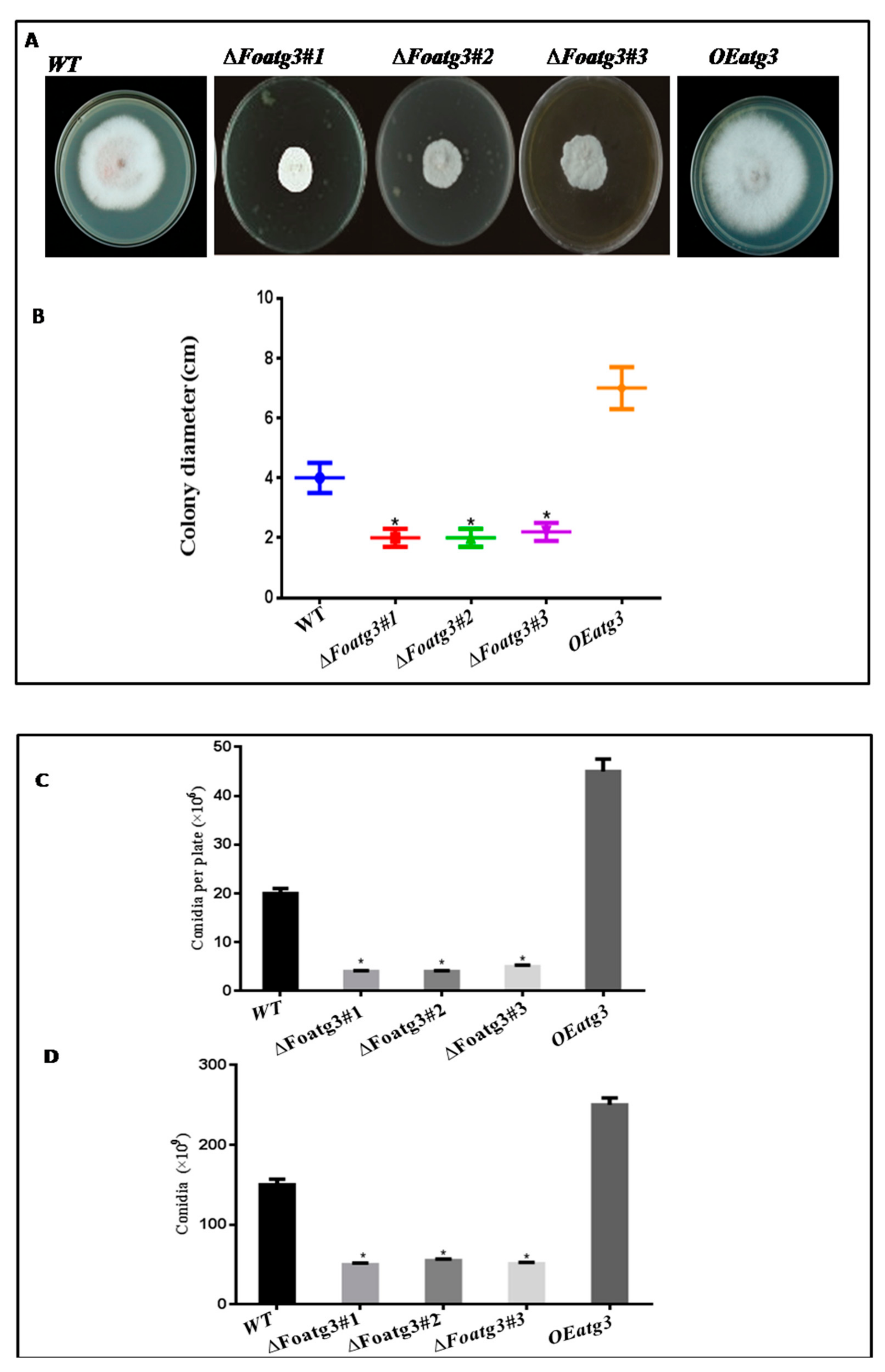 Genes 10 00658 g003 Genes 10 00658 g003