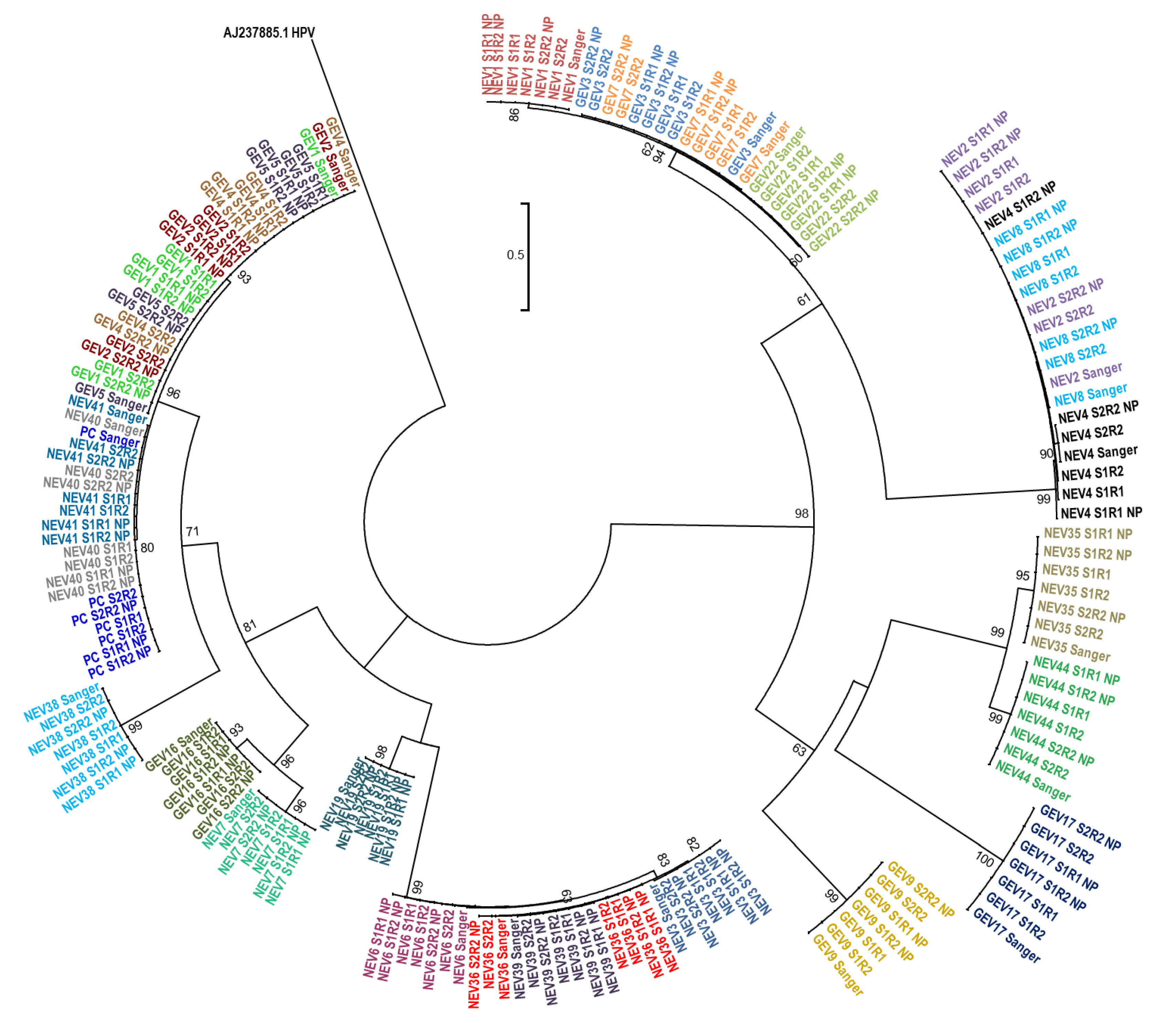 Genes 10 00659 g004