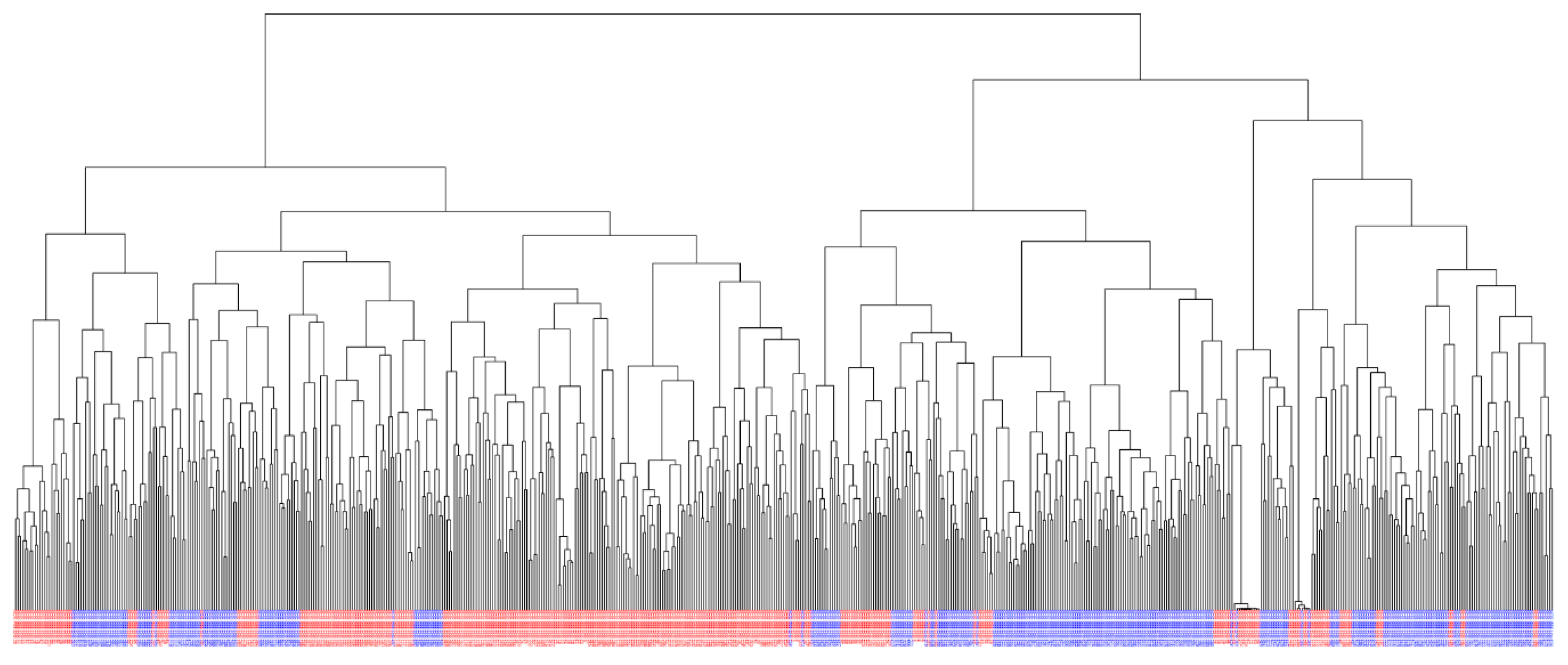 Genes 10 00669 g002 Genes 10 00669 g002
