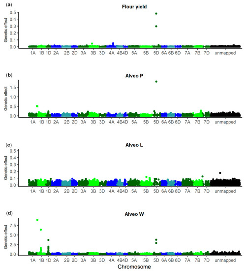 Genes Free Full Text Genomic Prediction And Genome Wide Association Studies Of Flour Yield And Alveograph Quality Traits Using Advanced Winter Wheat Breeding Material Html