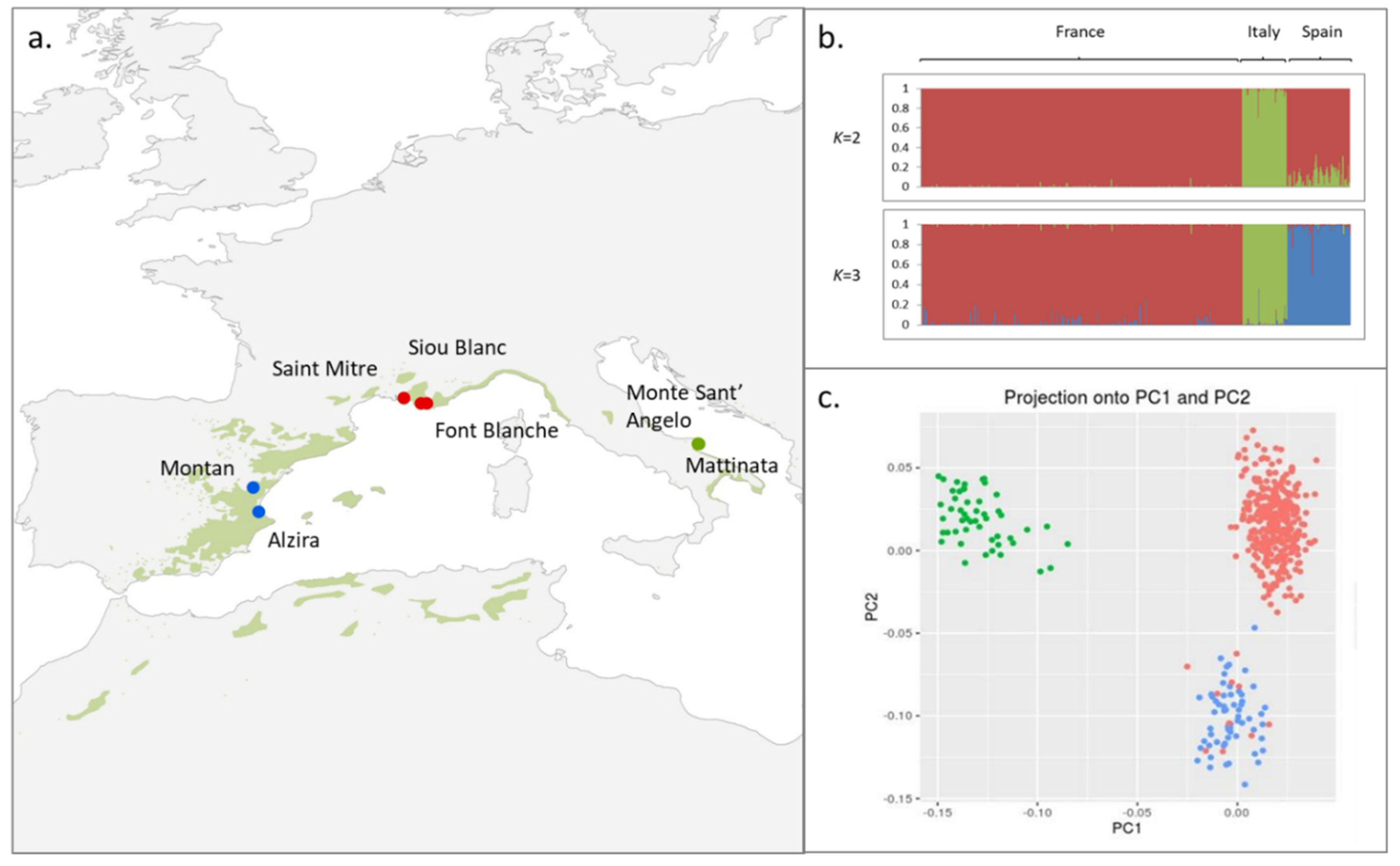 Genes 10 00673 g001 Genes 10 00673 g001