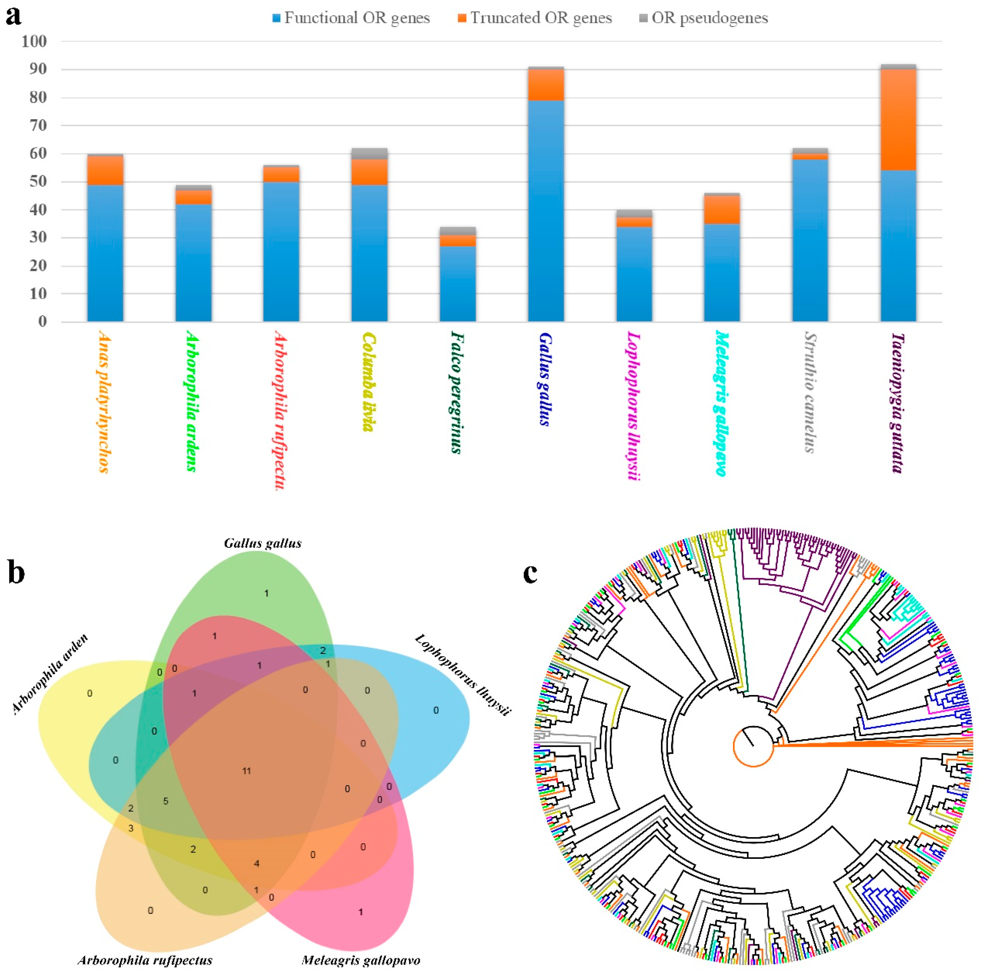 Genes 10 00677 g005 Genes 10 00677 g005