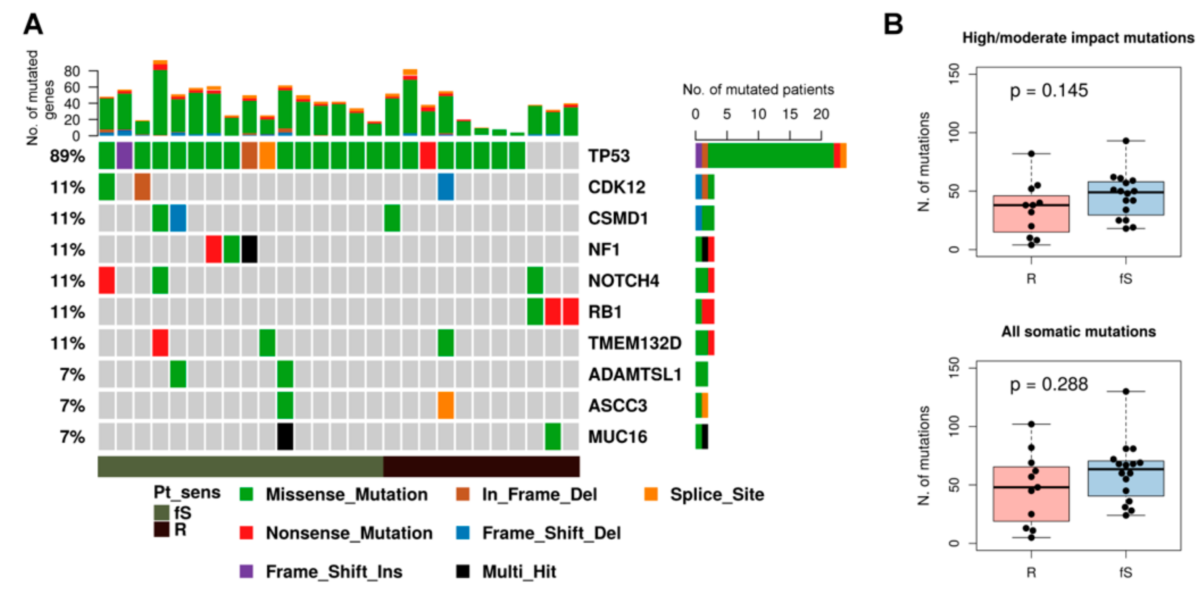 Genes 10 00678 g001 Genes 10 00678 g001