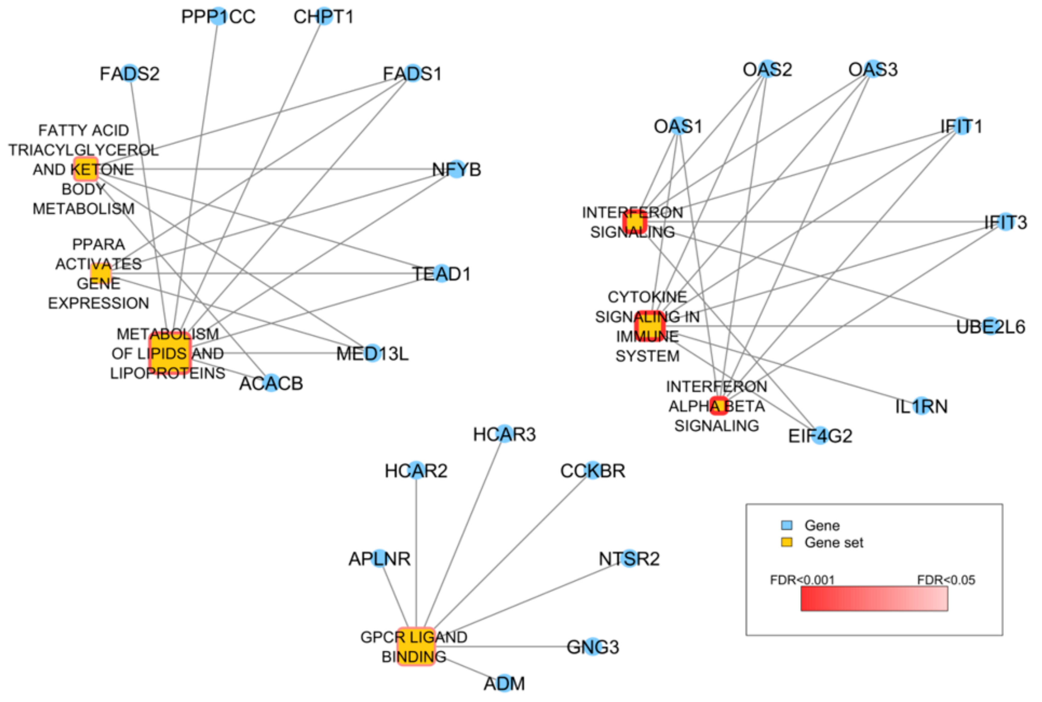 Genes 10 00678 g006 Genes 10 00678 g006