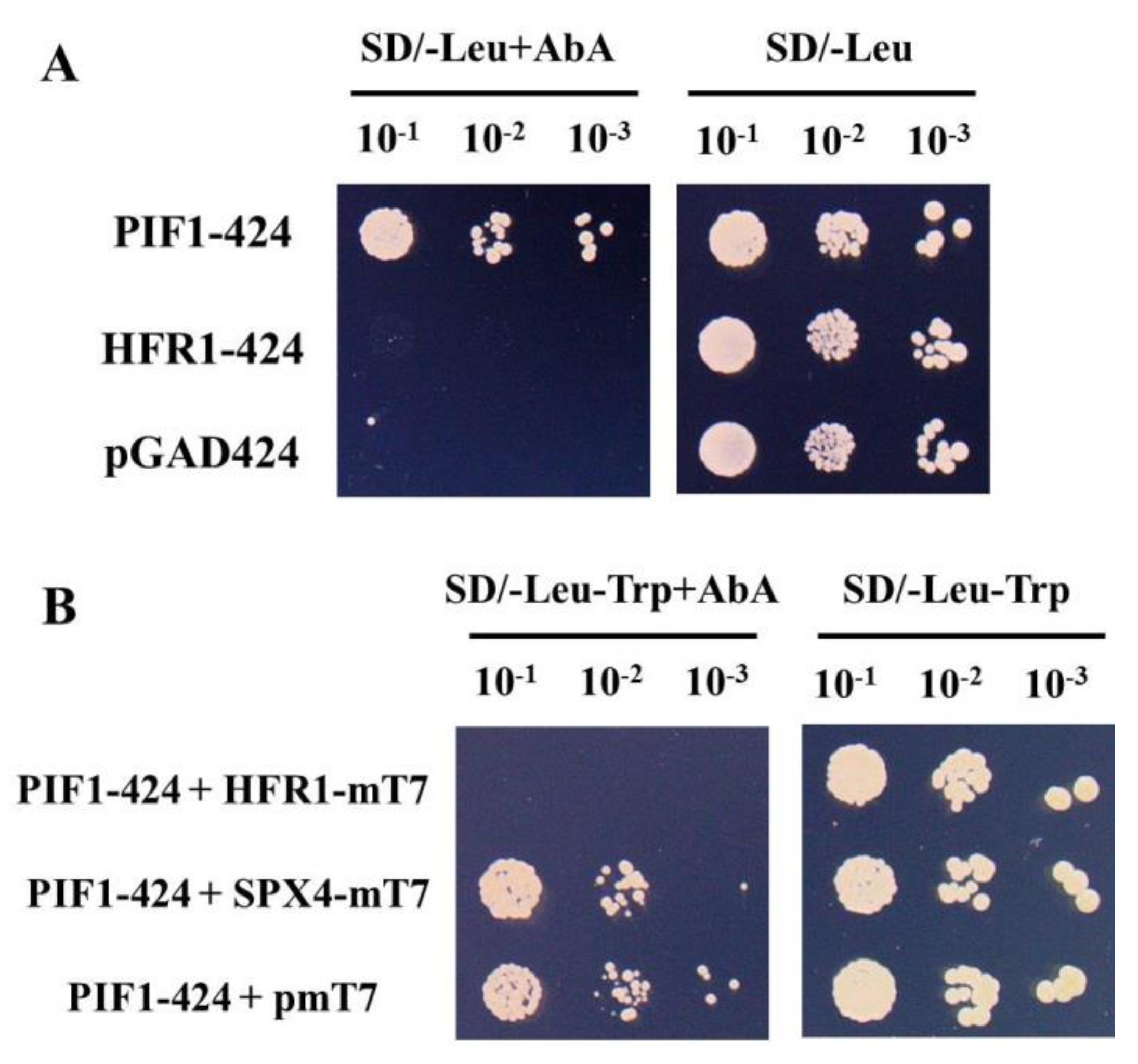 Genes 10 00684 g002