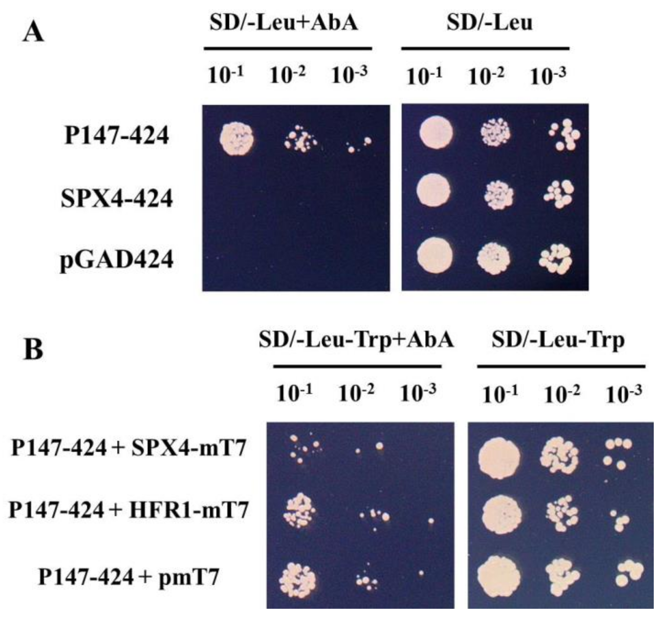 Genes 10 00684 g003