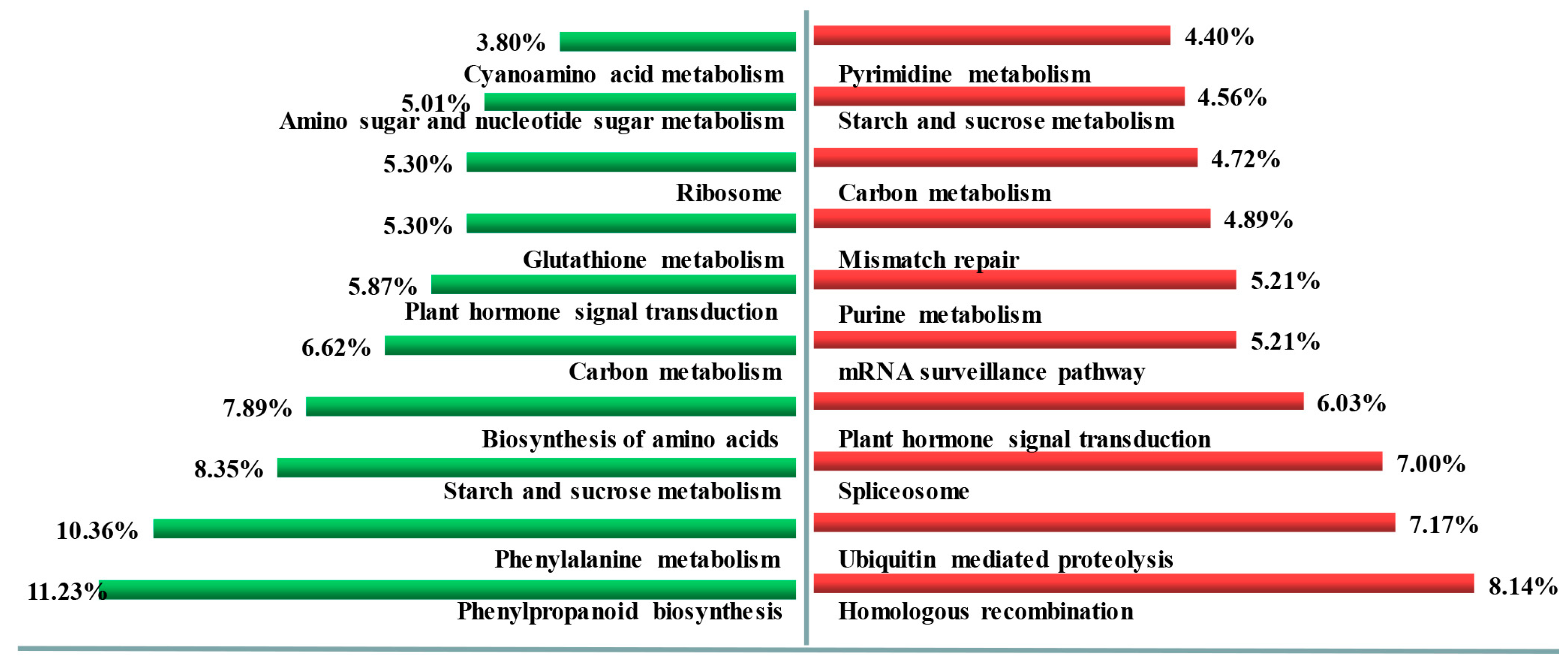 Genes 10 00686 g004