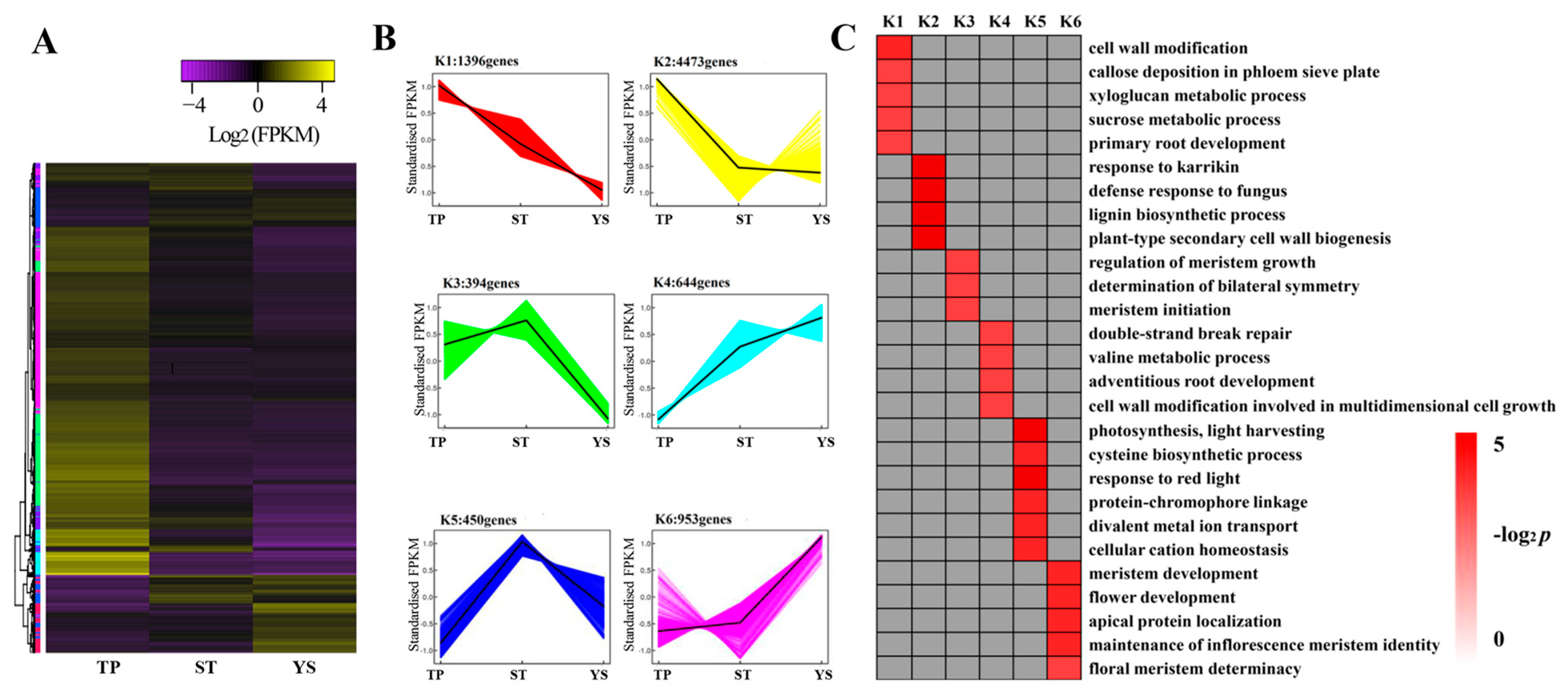 Genes 10 00686 g005