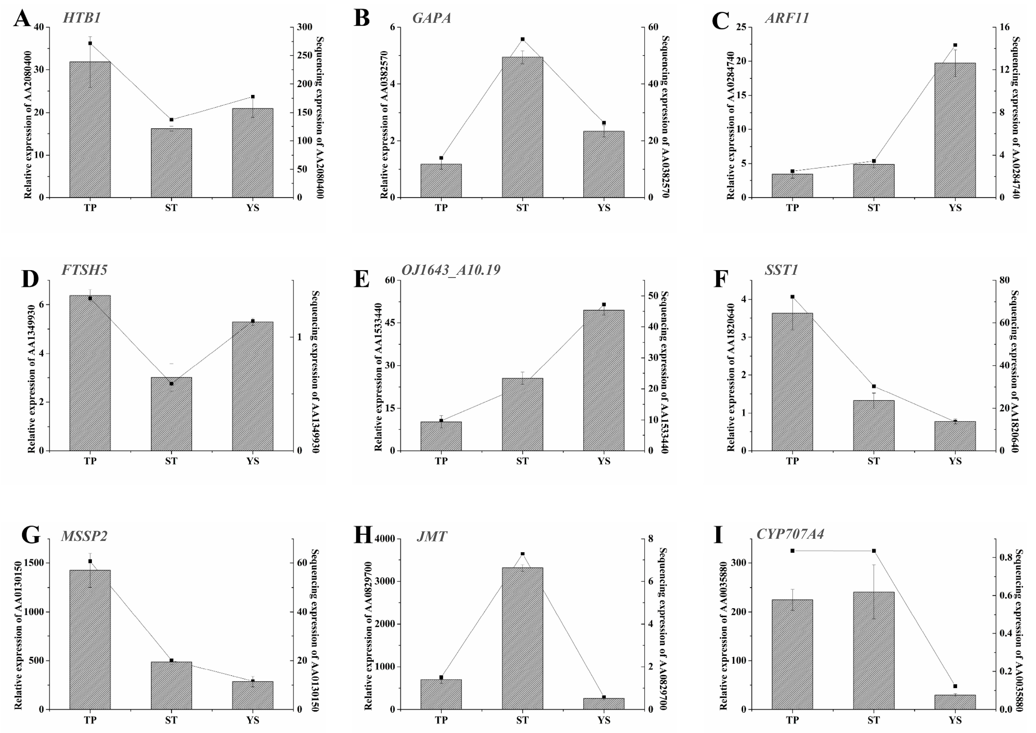 Genes 10 00686 g009