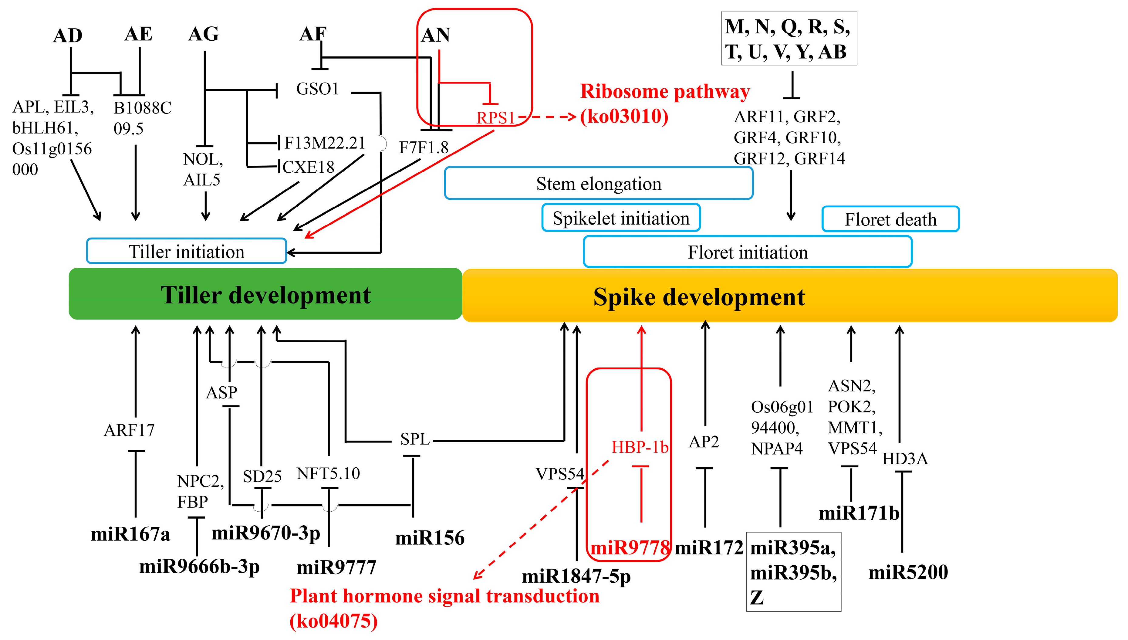 Genes 10 00686 g010
