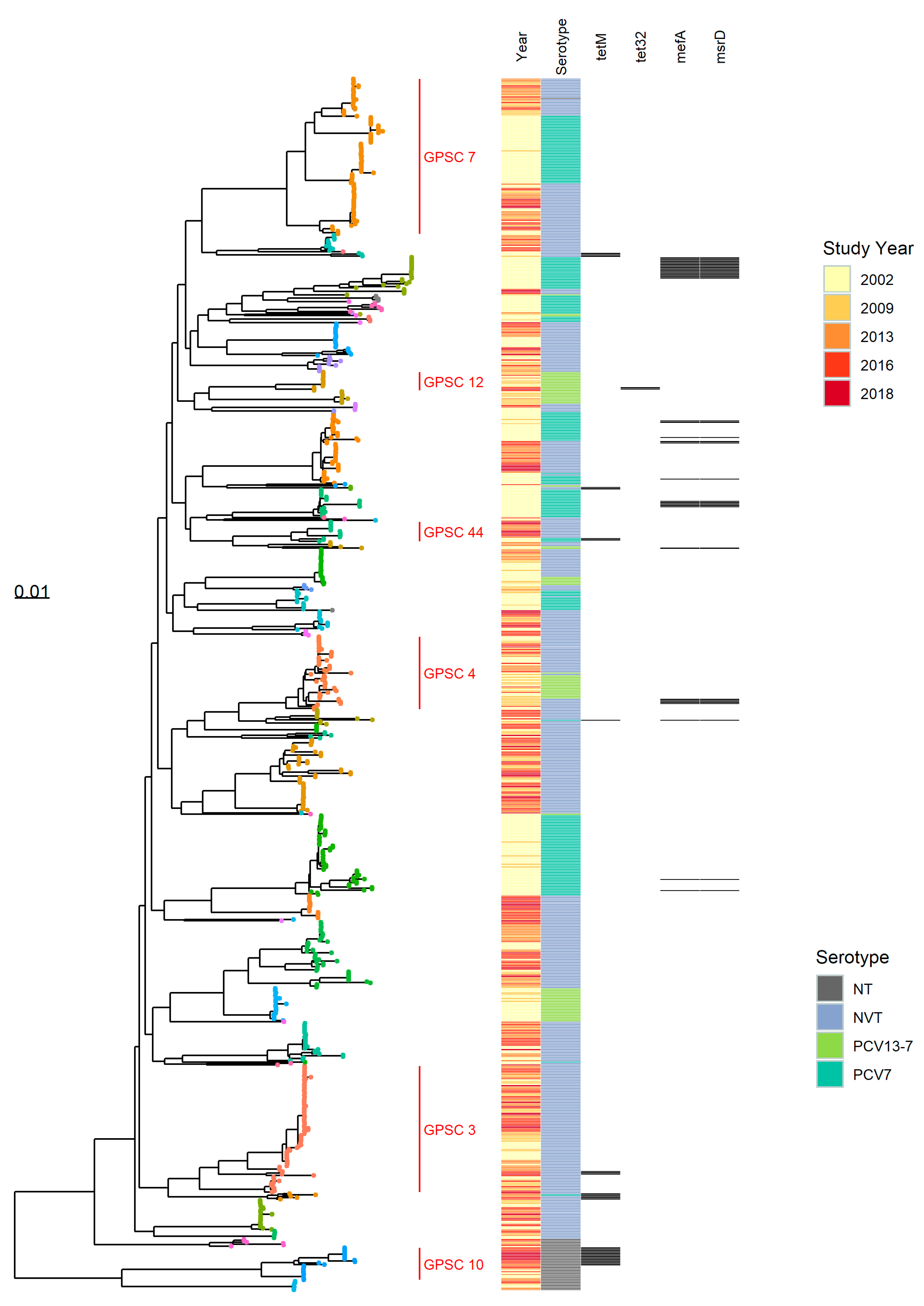 Genes 10 00687 g003