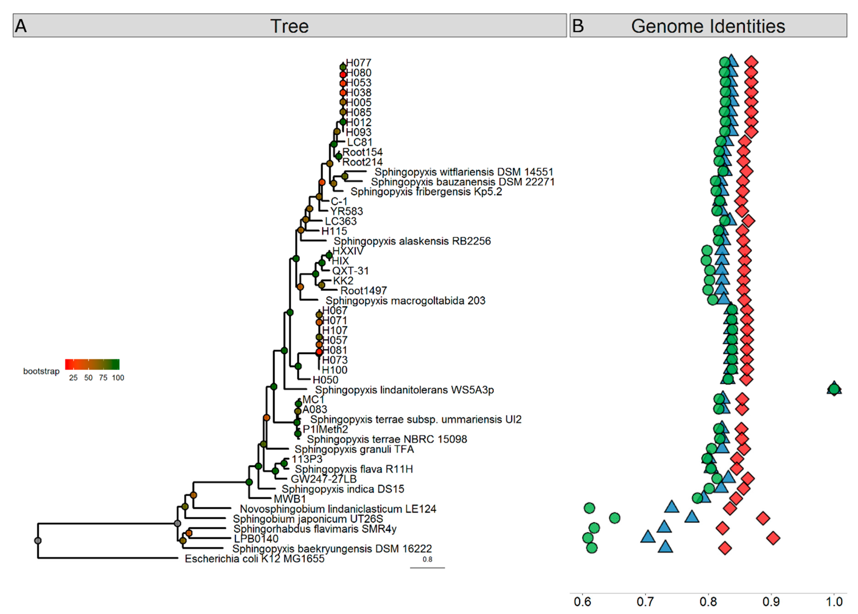 Genes 10 00688 g001