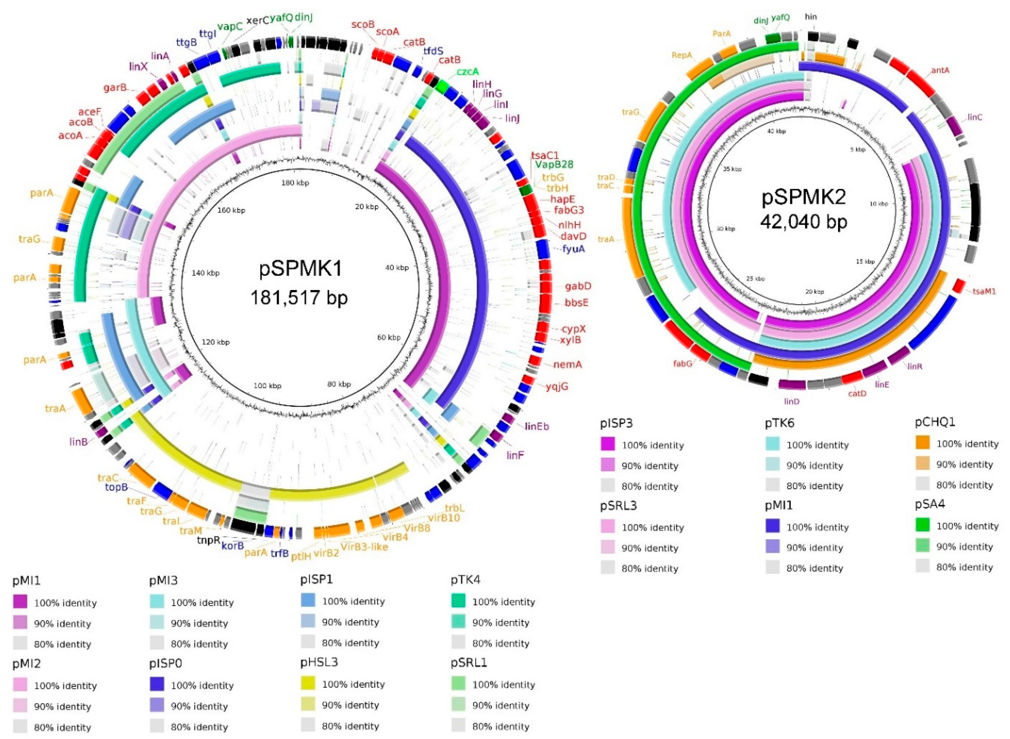 Genes 10 00688 g003