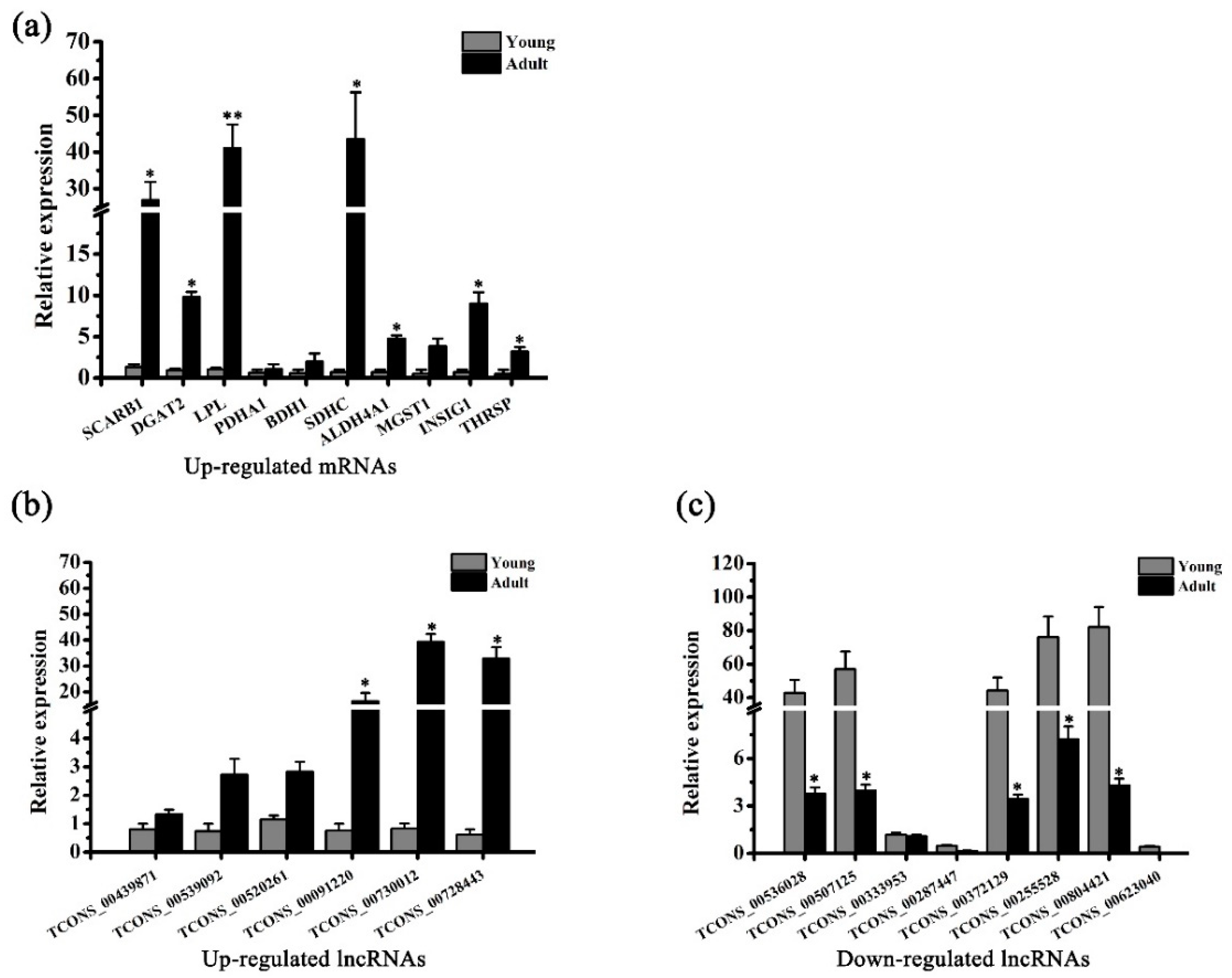 Genes 10 00689 g002