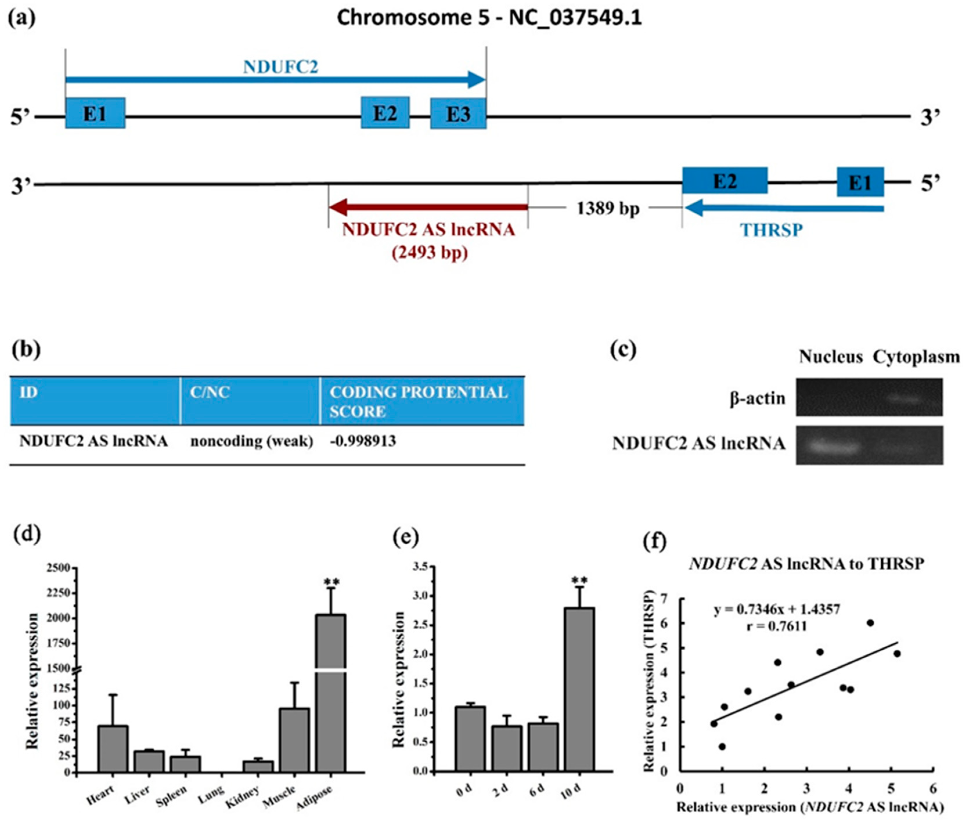 Genes 10 00689 g004