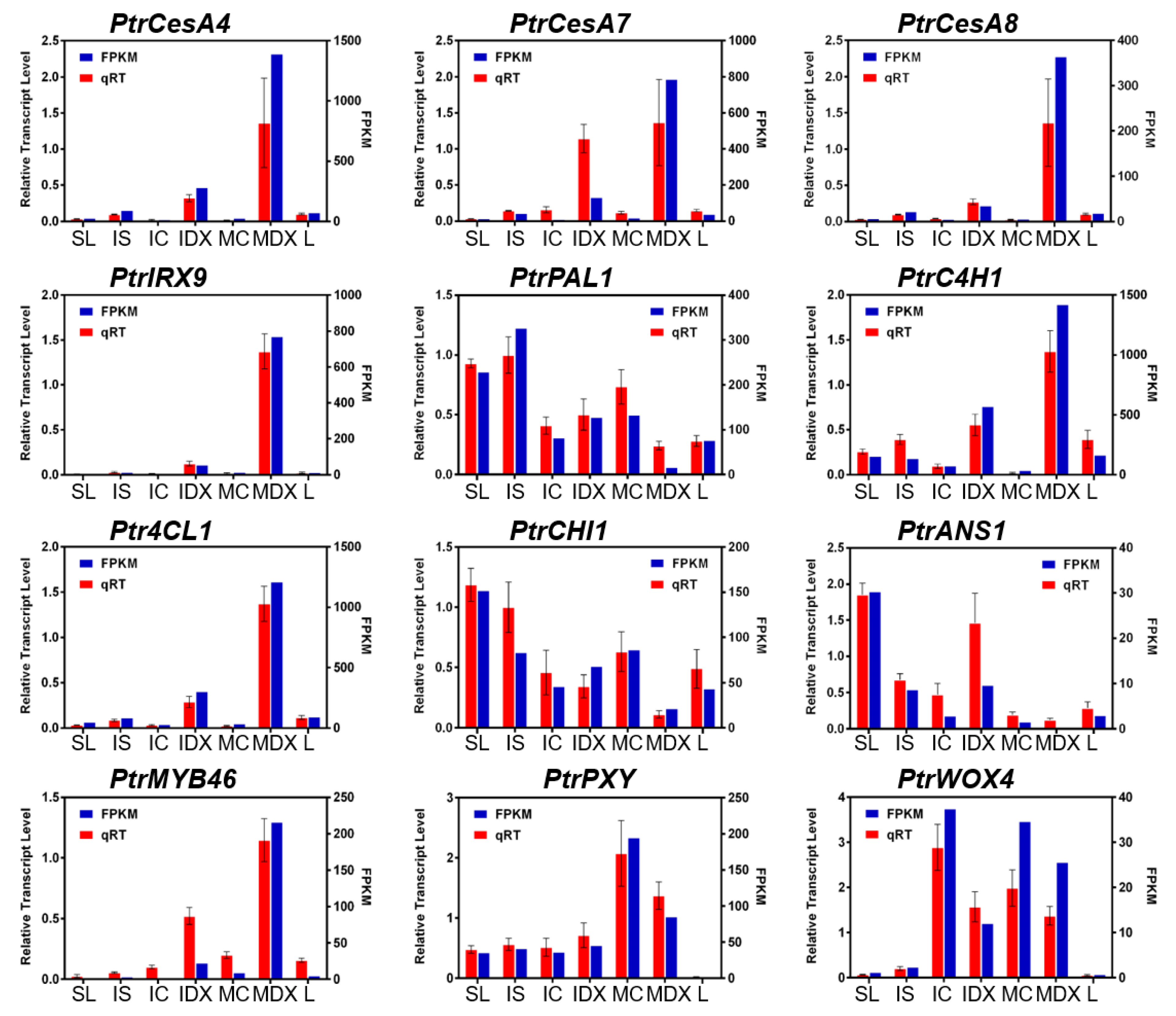 Genes 10 00690 g002