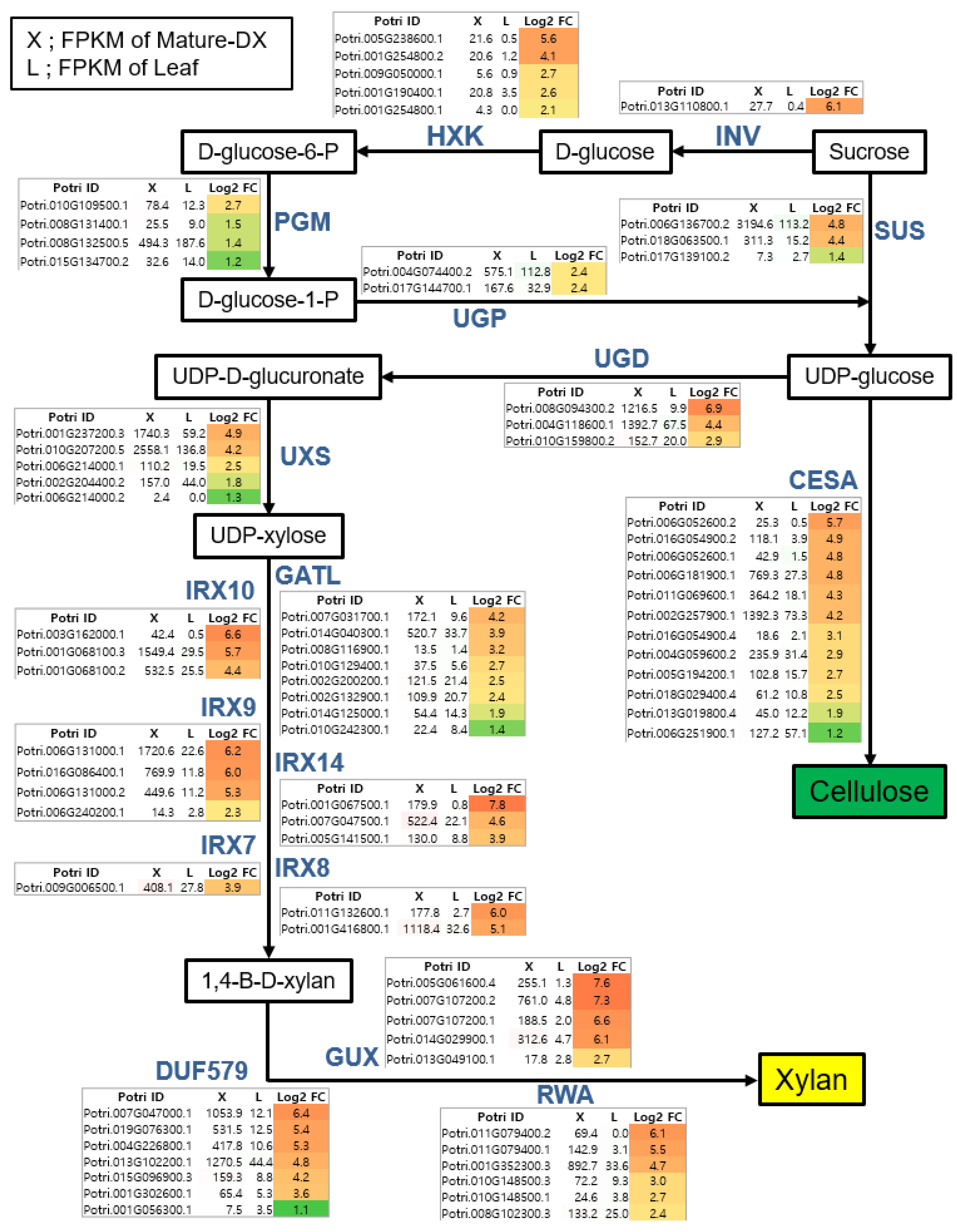 Genes 10 00690 g003